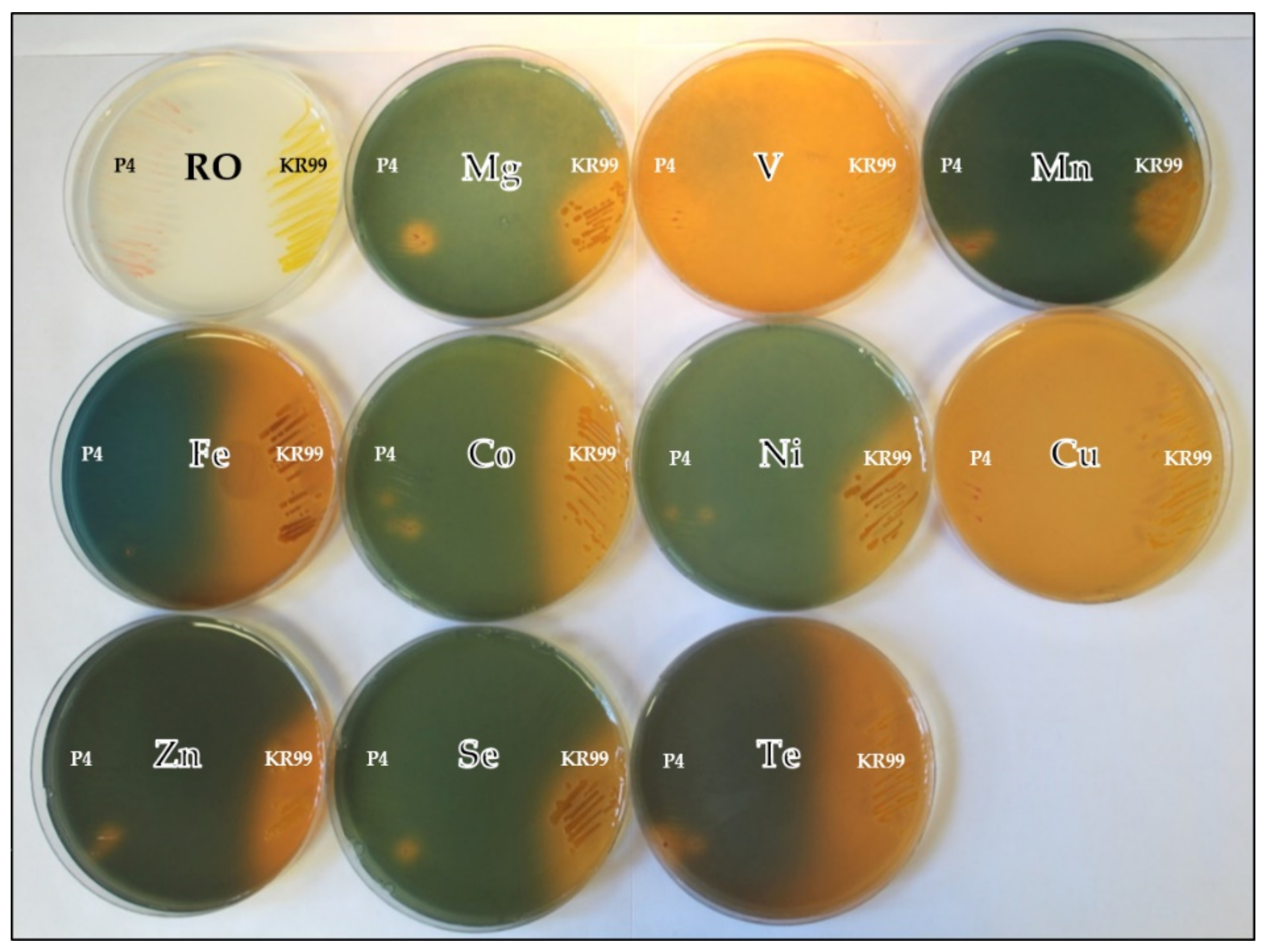 Microorganisms 09 00959 g0a2