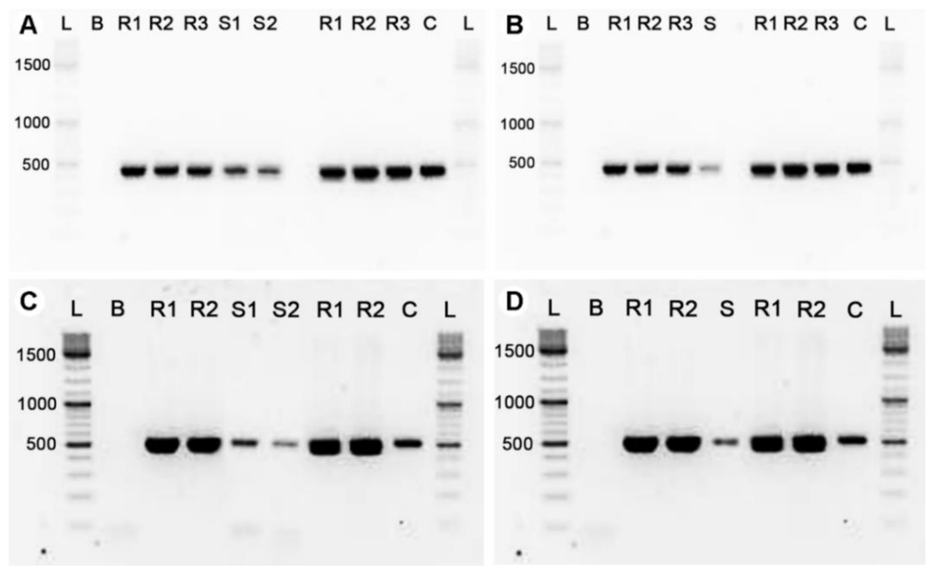 Microorganisms 09 00960 g002 Microorganisms 09 00960 g002