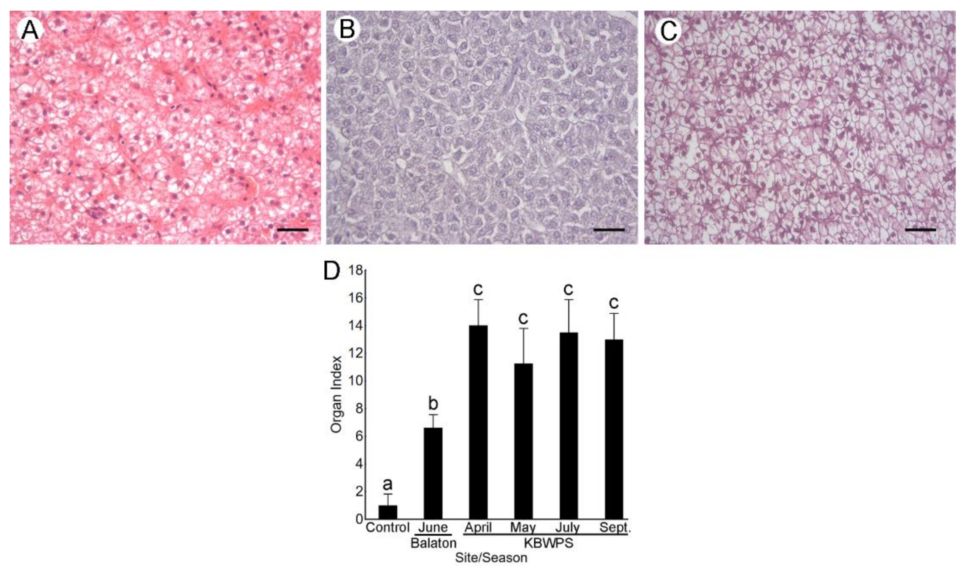 Microorganisms 09 00960 g003 Microorganisms 09 00960 g003