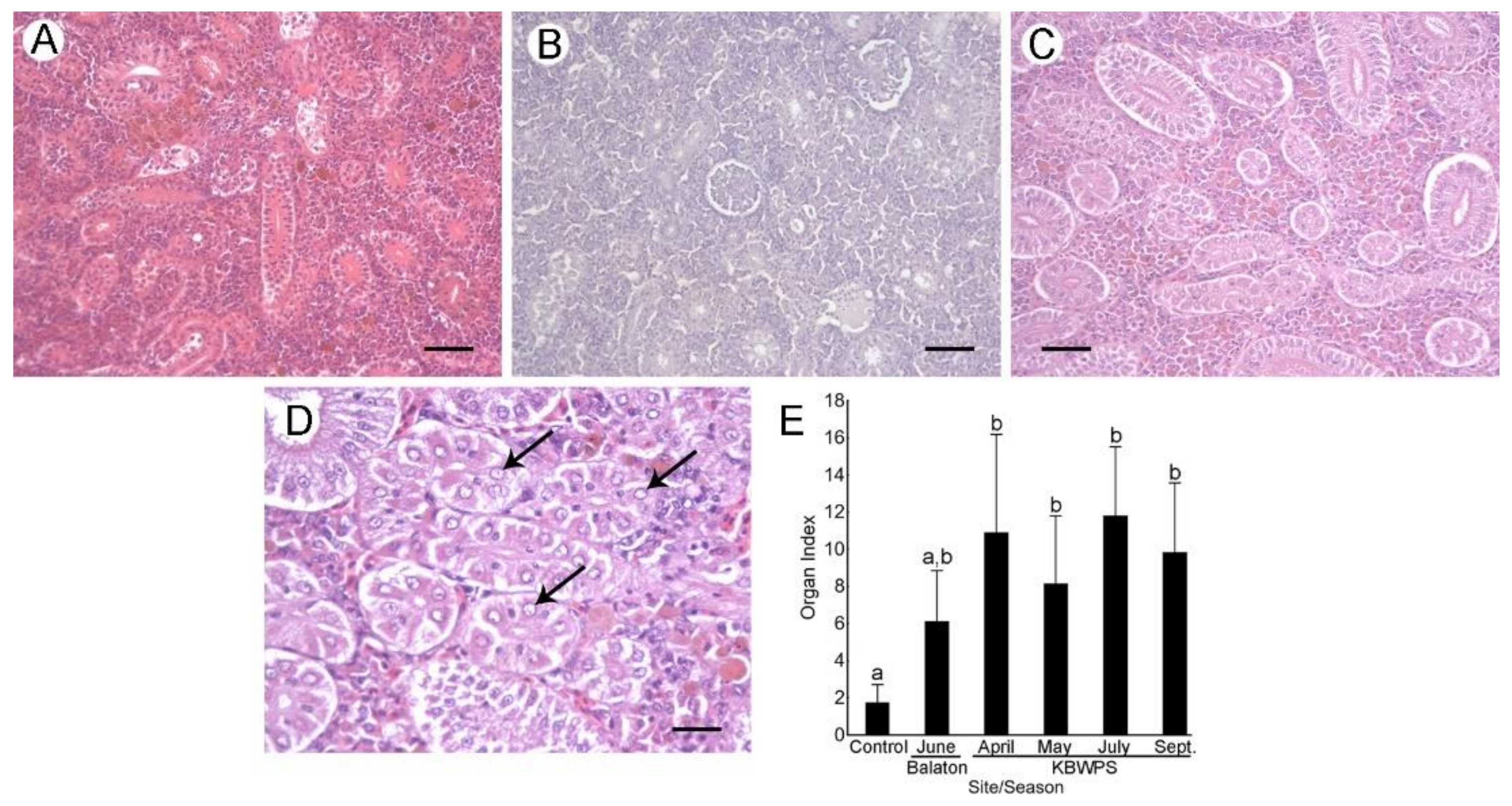 Microorganisms 09 00960 g004 Microorganisms 09 00960 g004