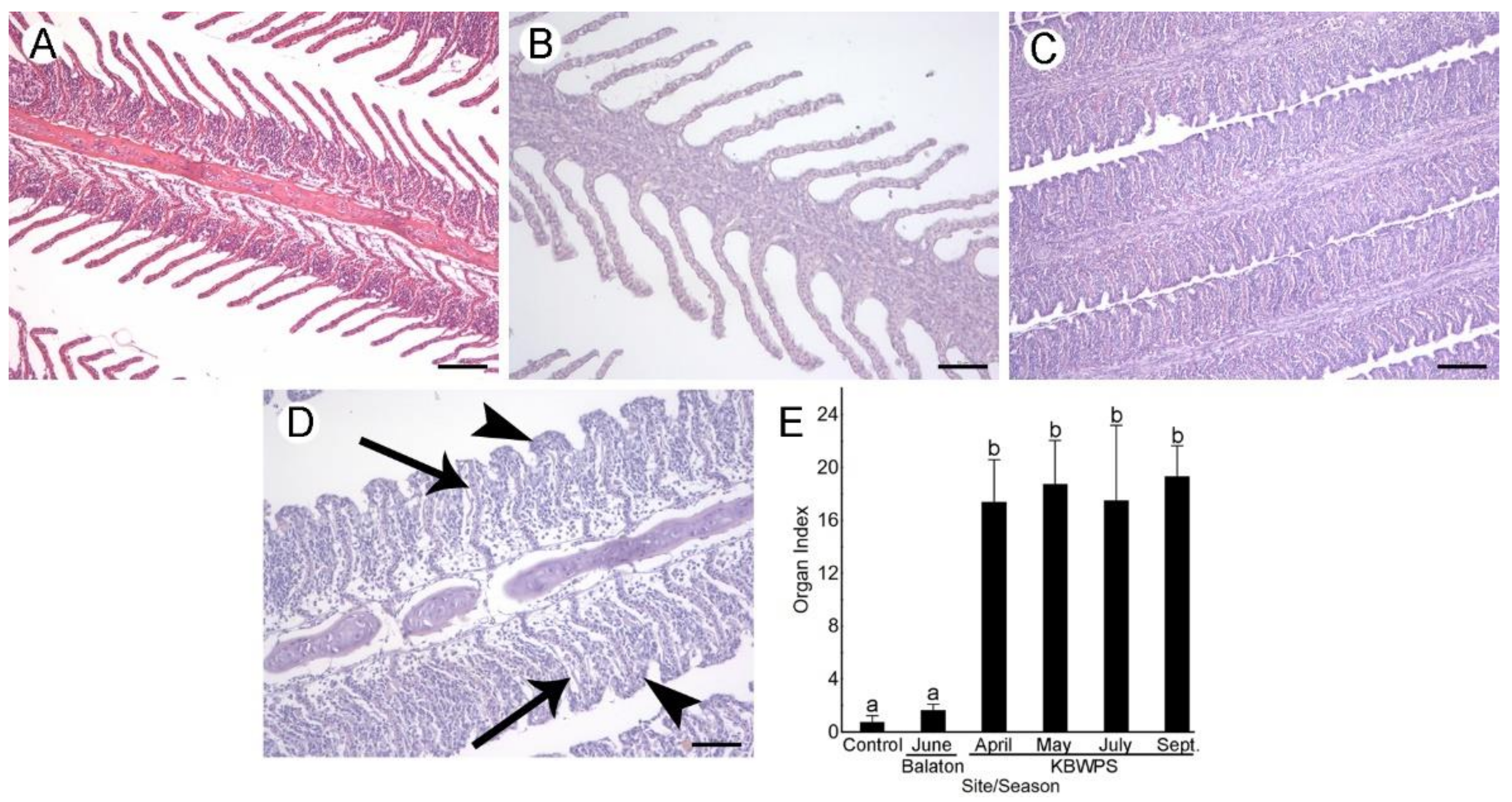 Microorganisms 09 00960 g005 Microorganisms 09 00960 g005