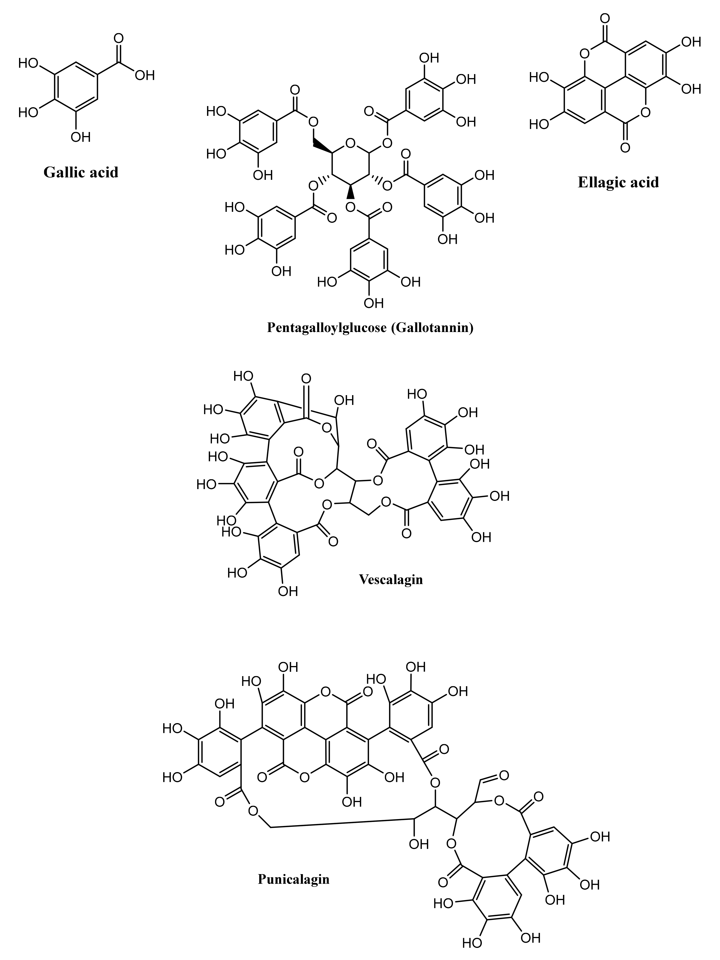 Microorganisms 09 00965 g001 Microorganisms 09 00965 g001