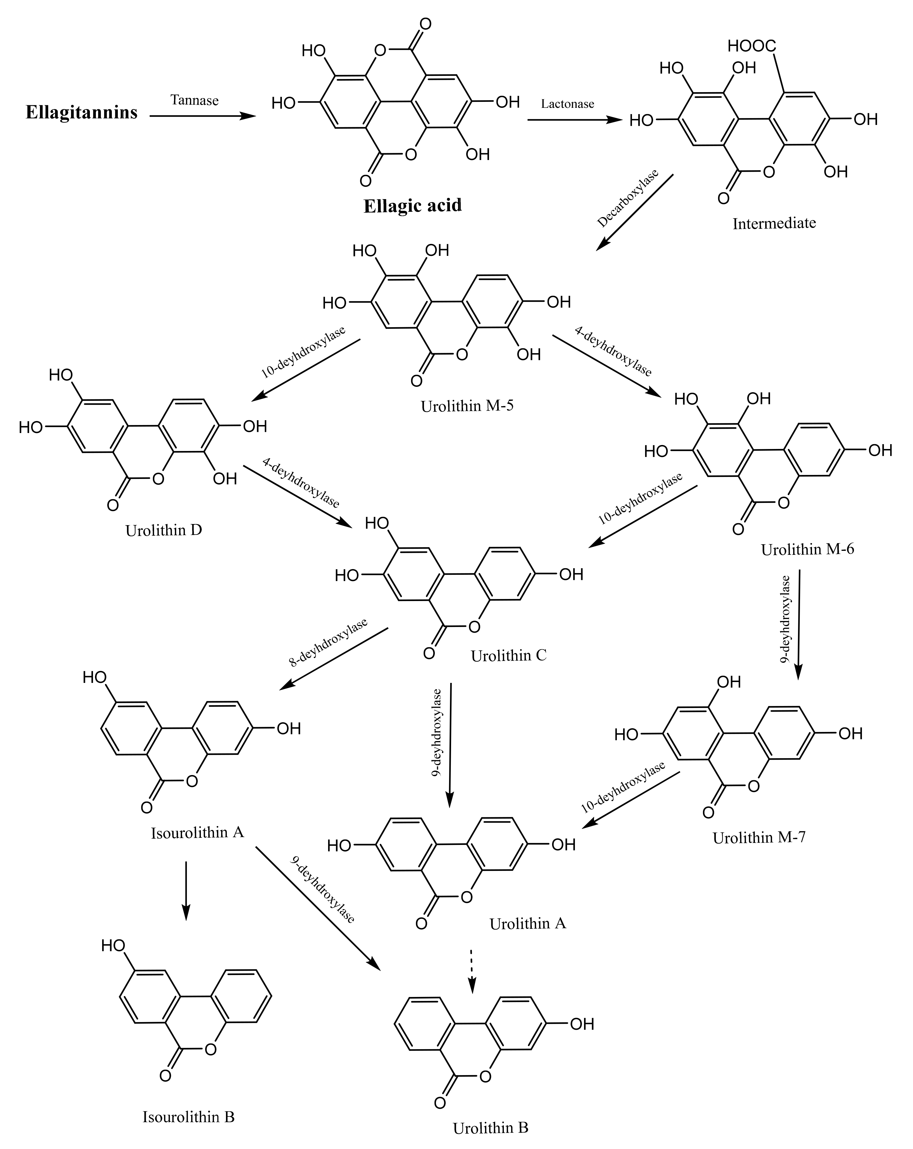 Microorganisms 09 00965 g003 Microorganisms 09 00965 g003