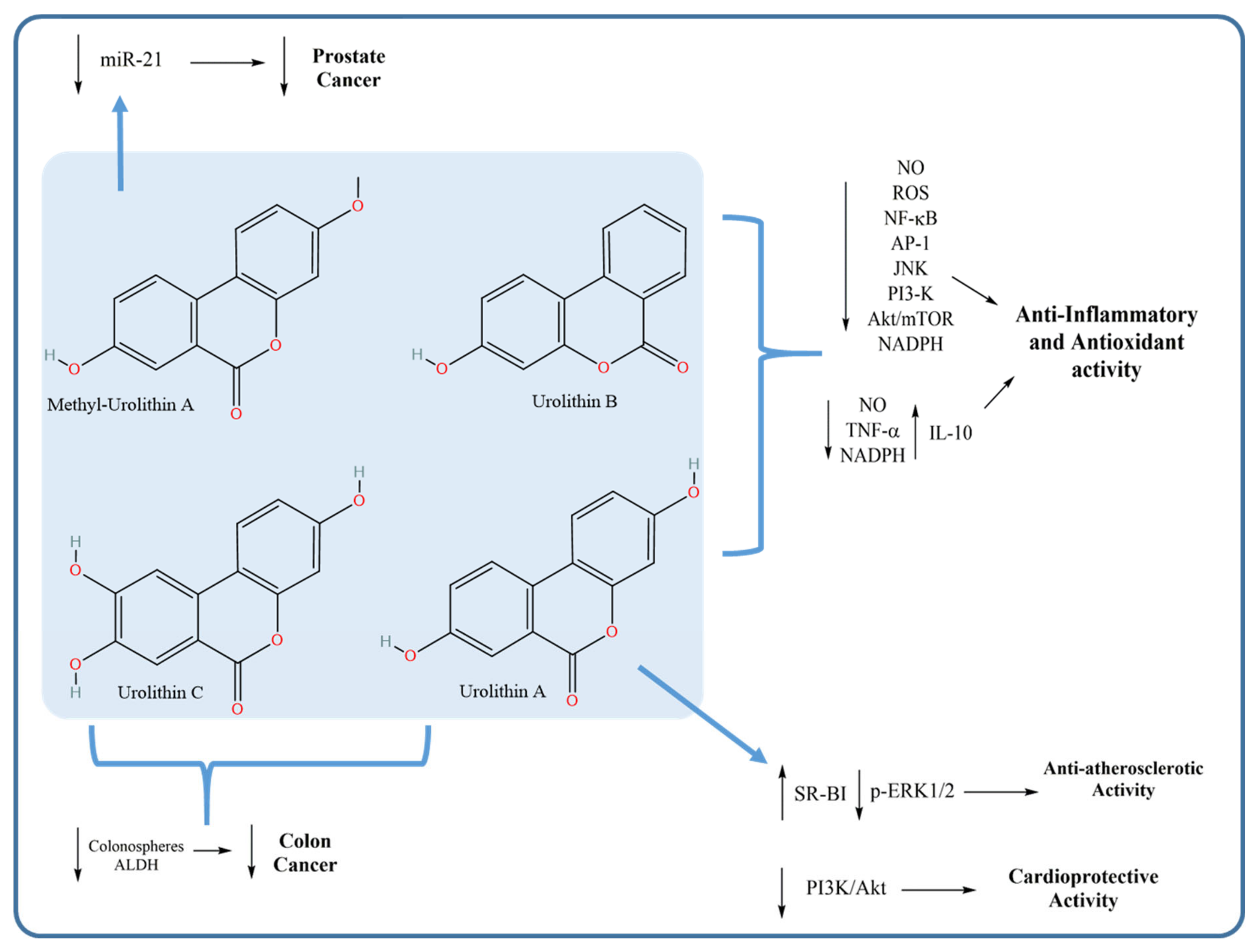 Microorganisms 09 00965 g006 Microorganisms 09 00965 g006