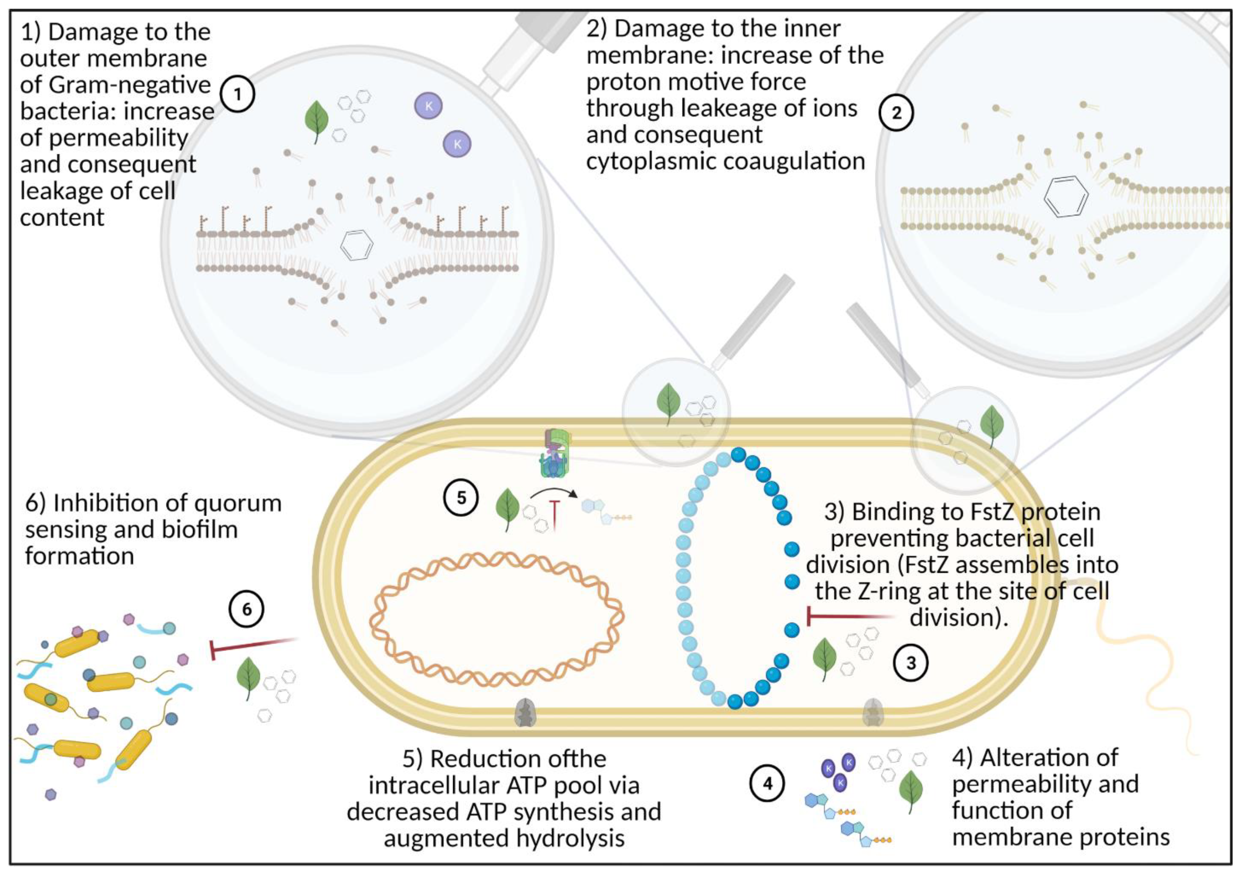 Microorganisms 09 00966 g002 Microorganisms 09 00966 g002