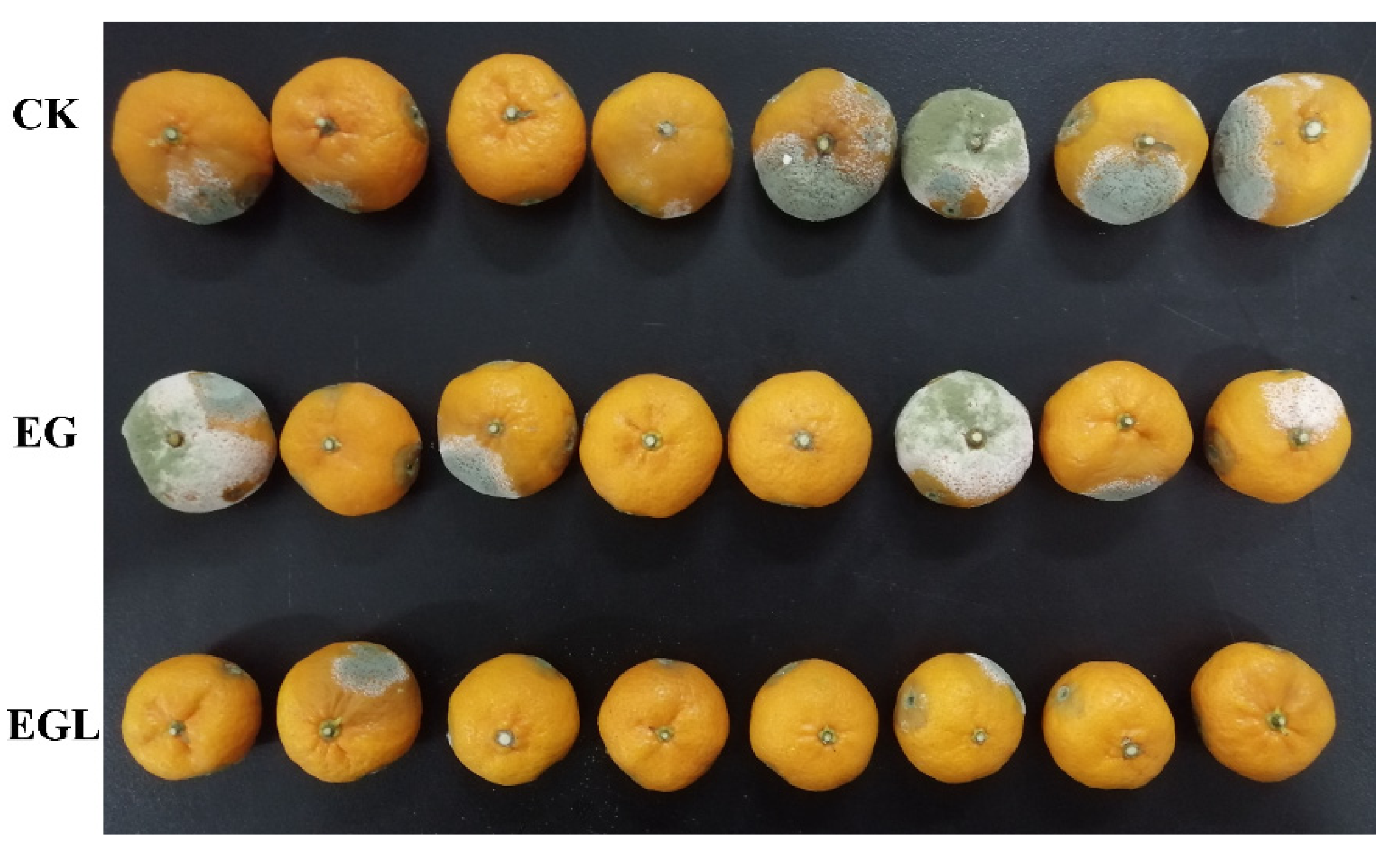 Microorganisms 09 00969 g006 Microorganisms 09 00969 g006