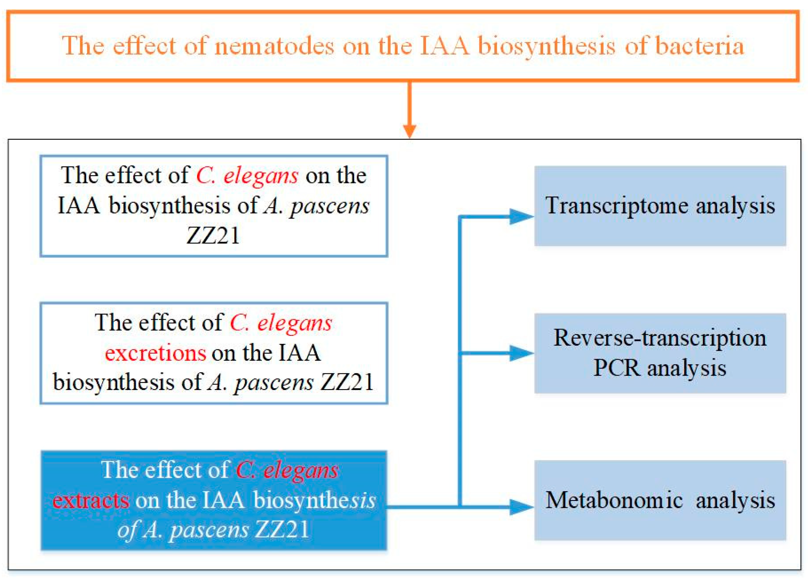 Microorganisms 09 00970 g002 Microorganisms 09 00970 g002