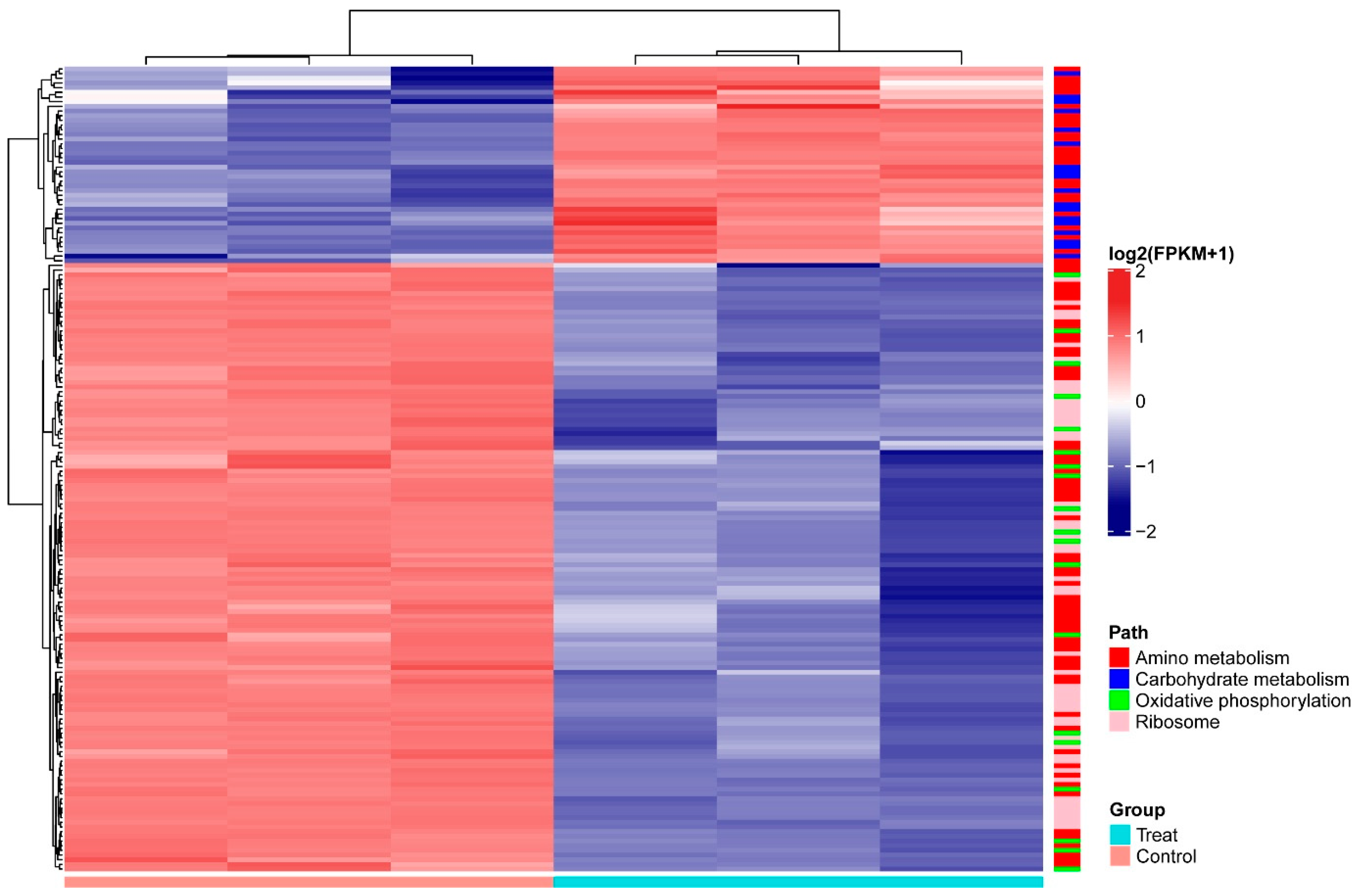 Microorganisms 09 00970 g005 Microorganisms 09 00970 g005