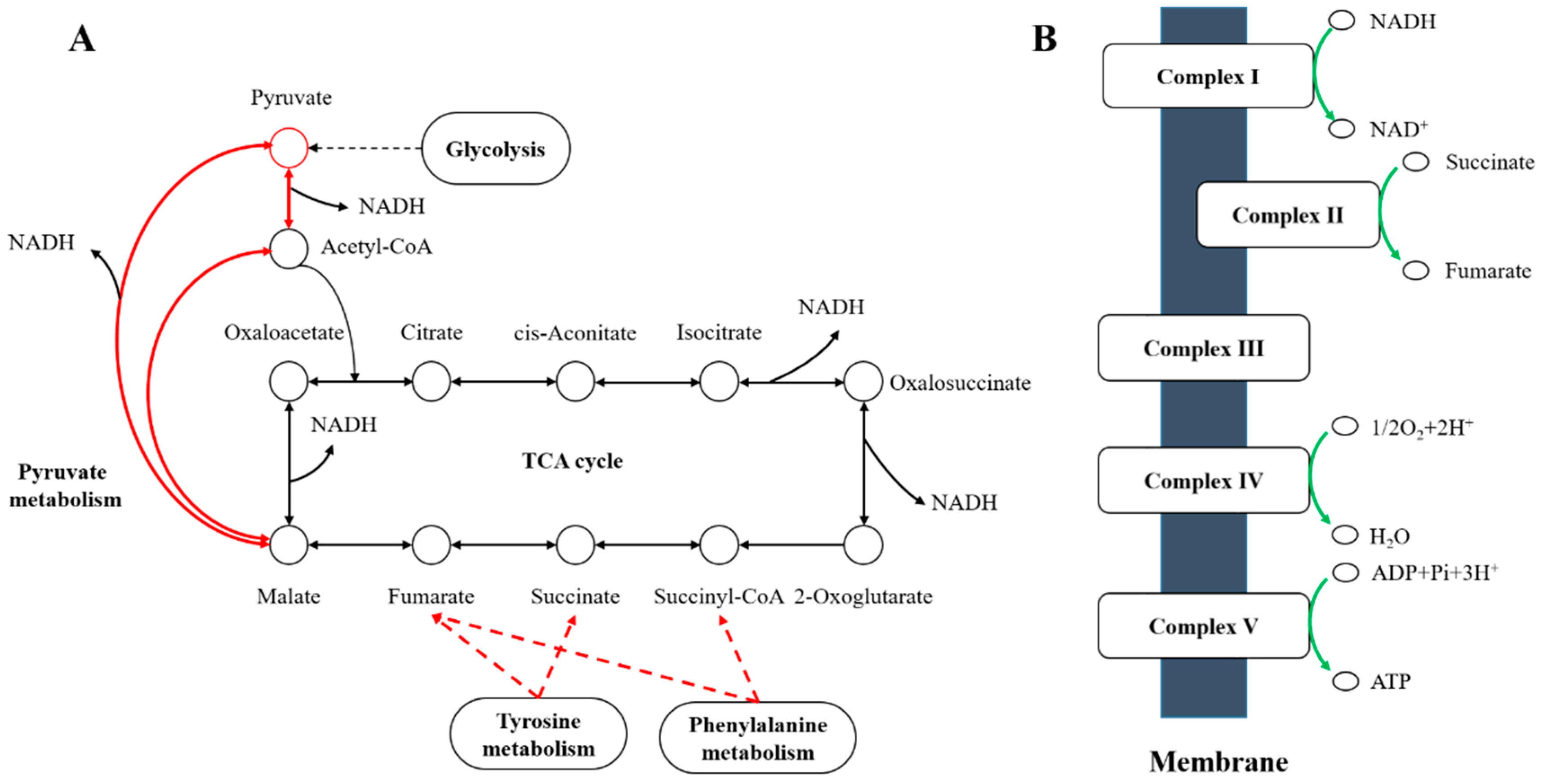 Microorganisms 09 00970 g006 Microorganisms 09 00970 g006