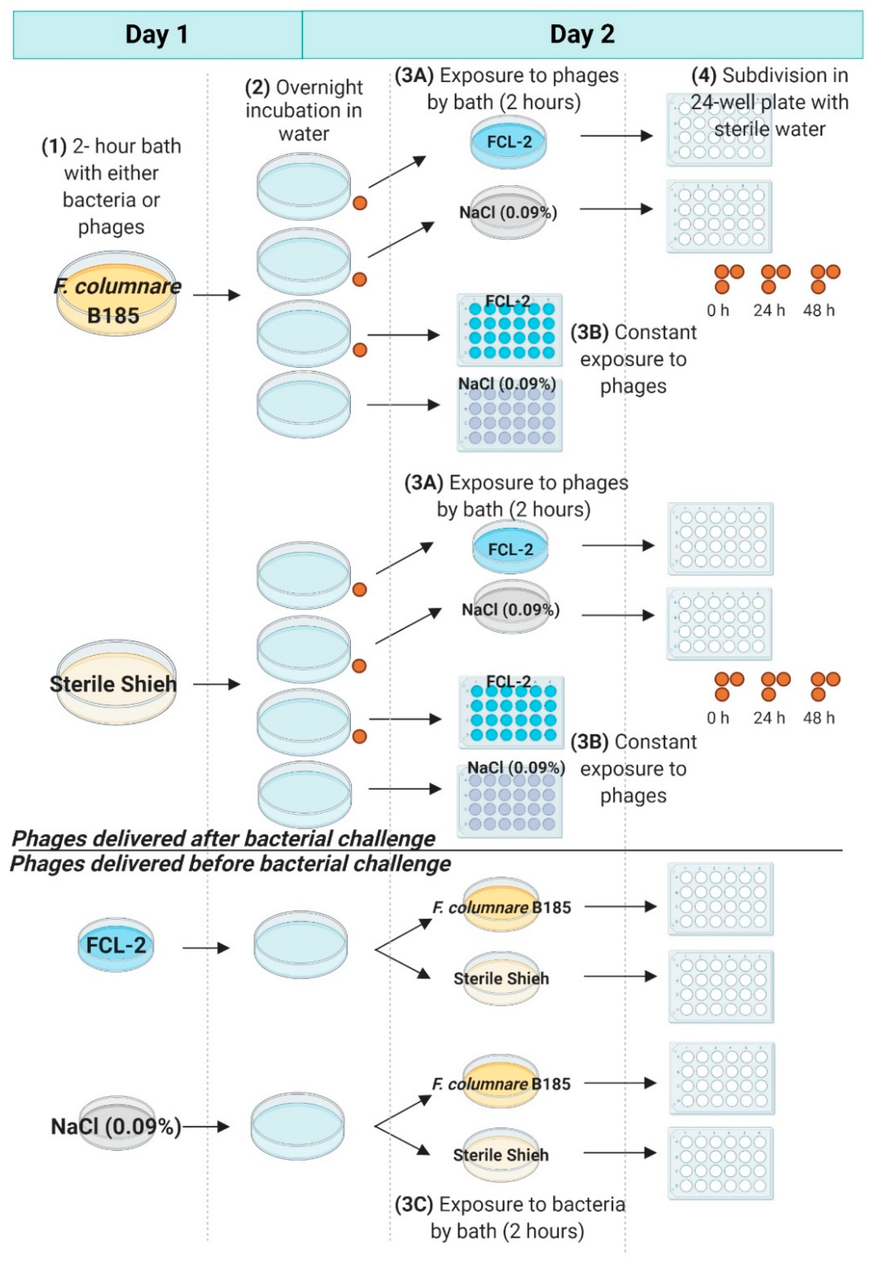 Microorganisms 09 00971 g0a2