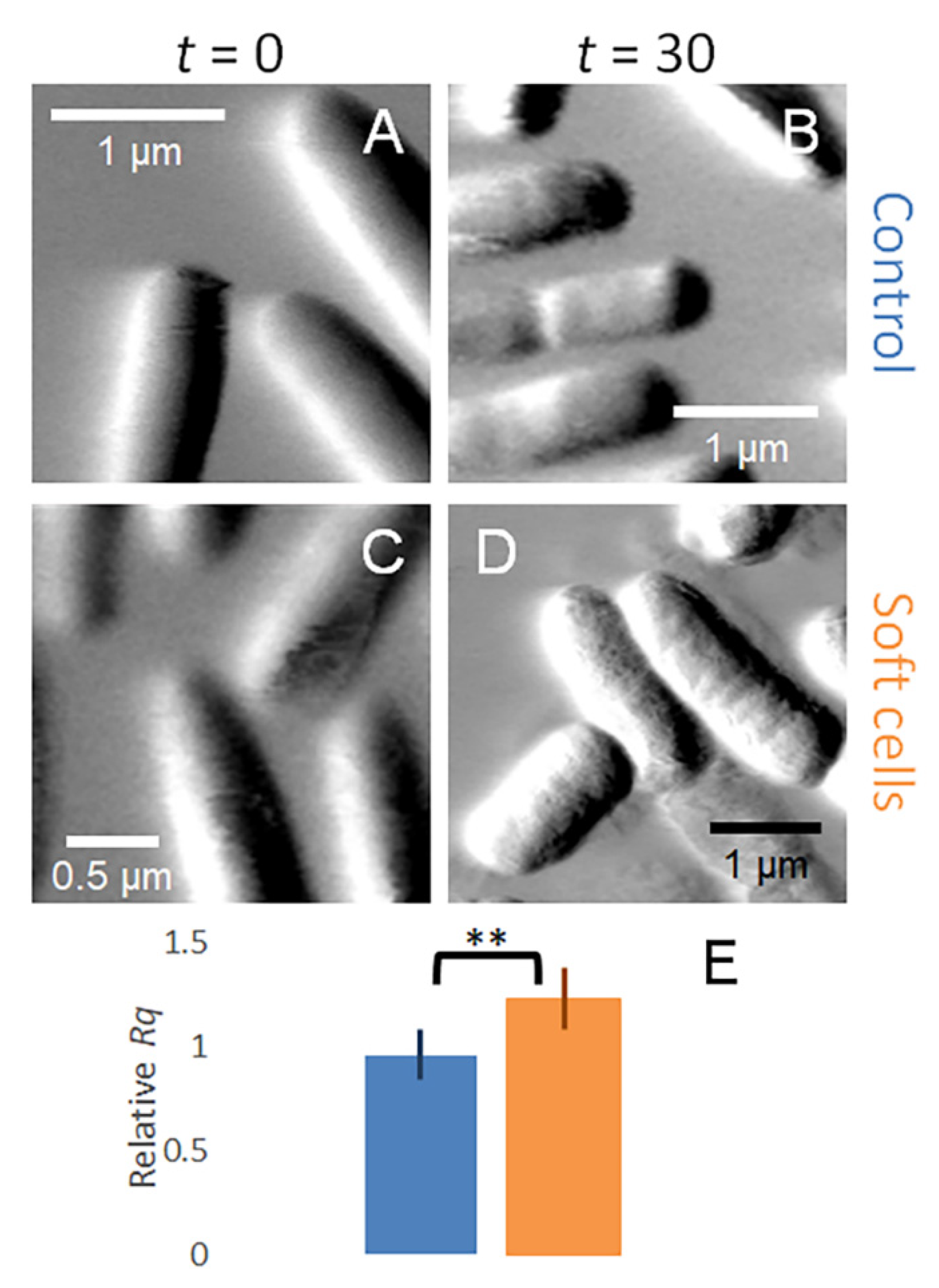 Microorganisms 09 00976 g006 Microorganisms 09 00976 g006