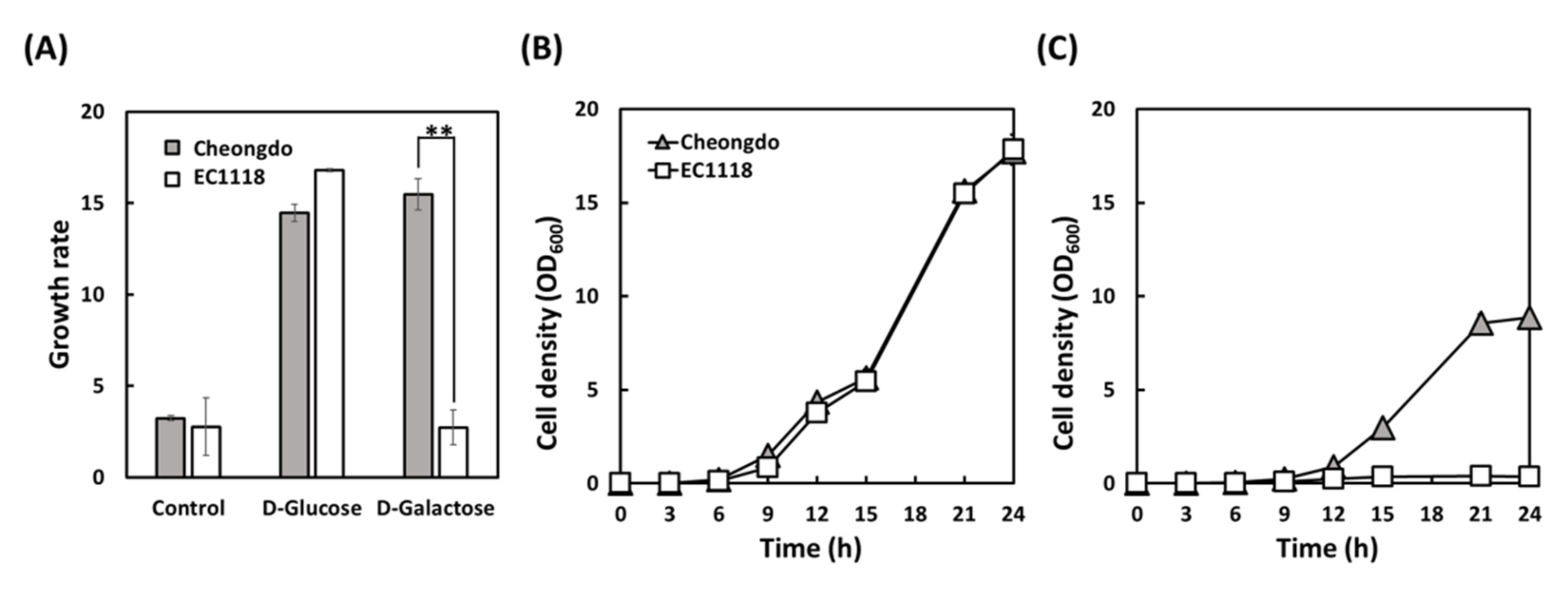 Microorganisms 09 00982 g003