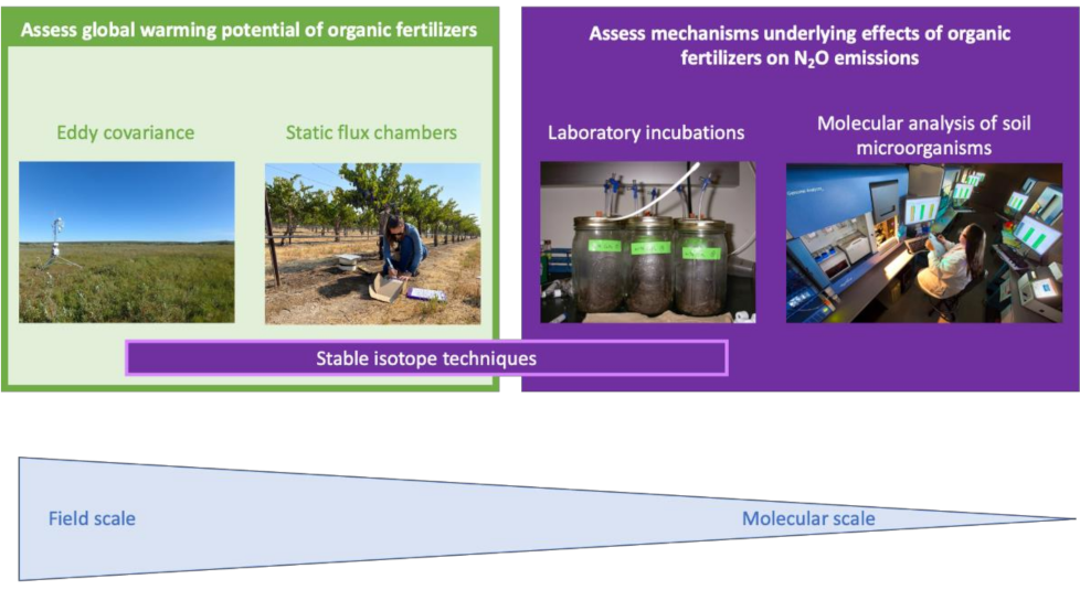 Microorganisms 09 00983 g002