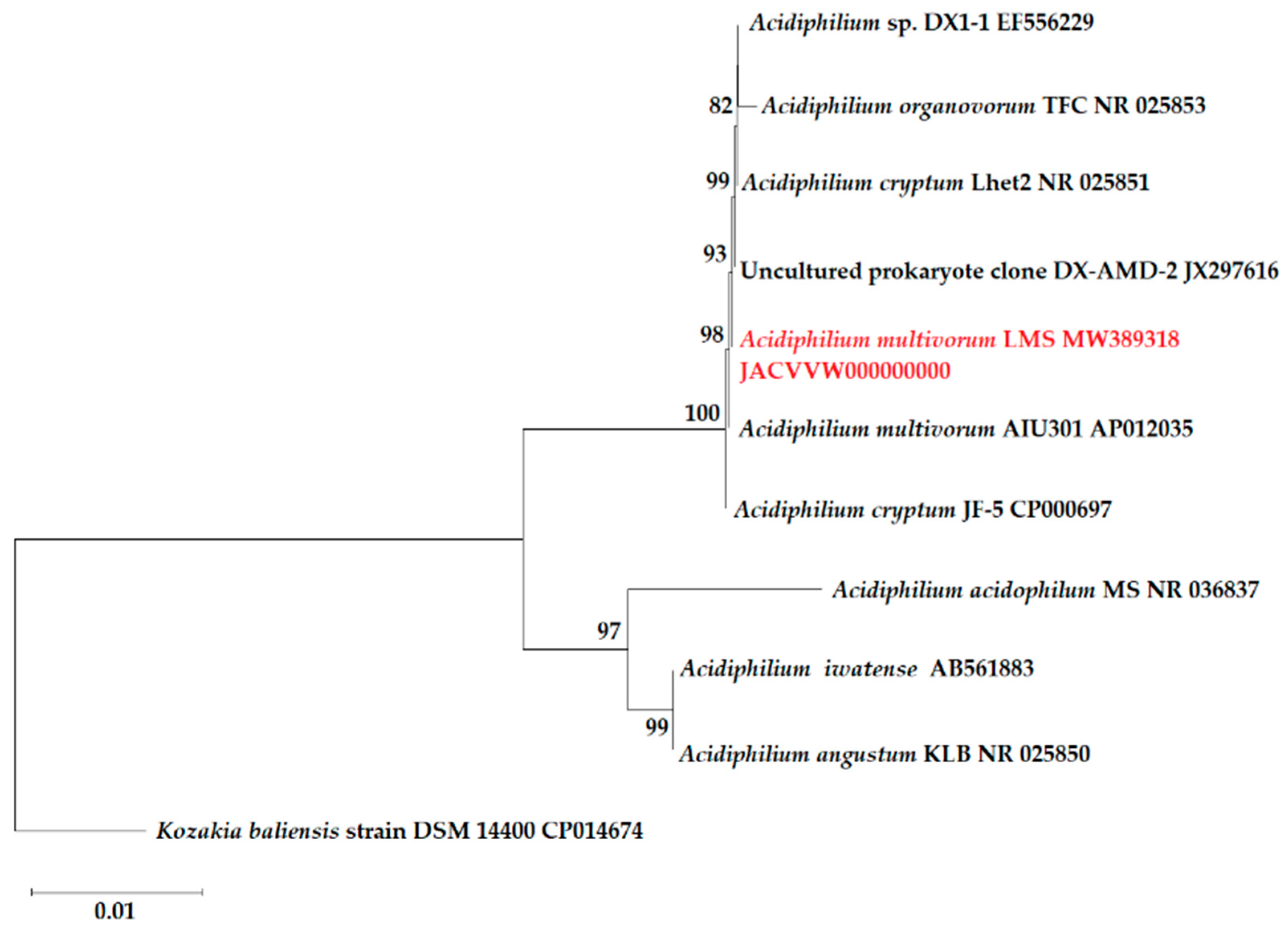Microorganisms 09 00984 g001
