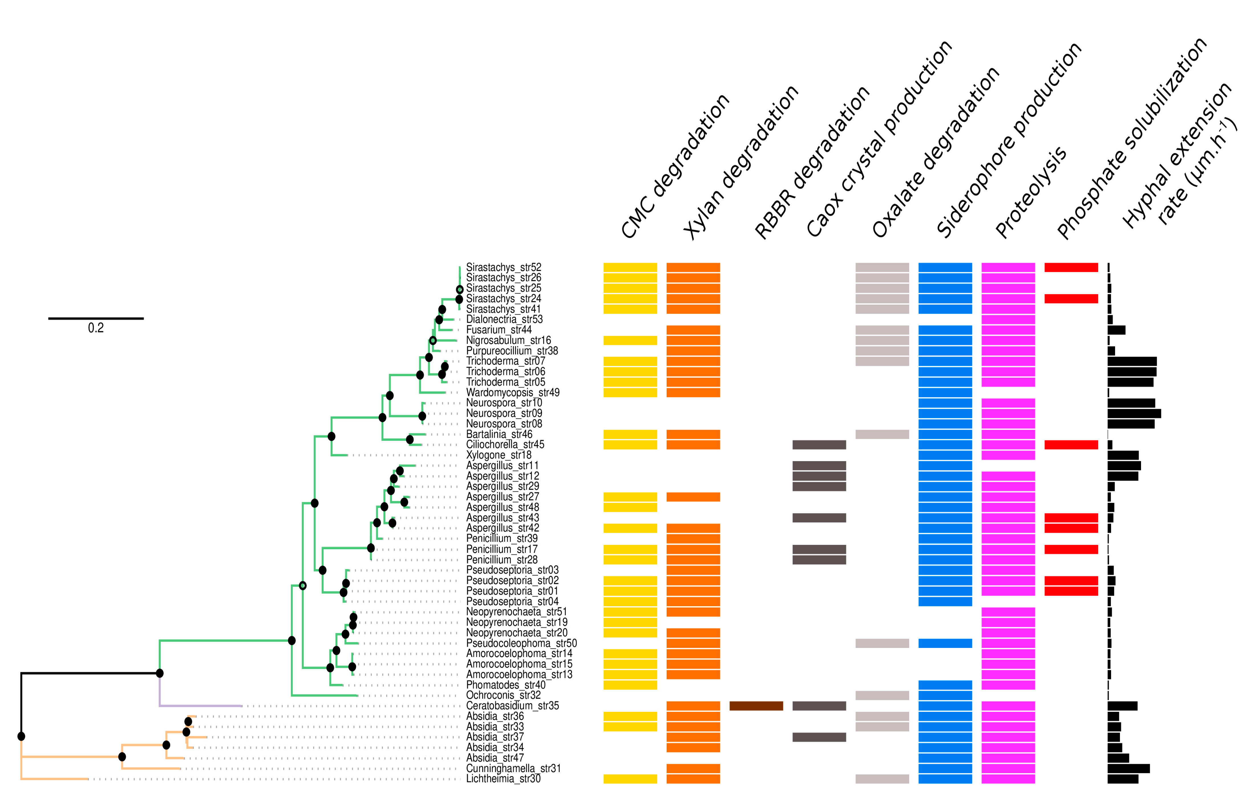 Microorganisms 09 00985 g002 Microorganisms 09 00985 g002