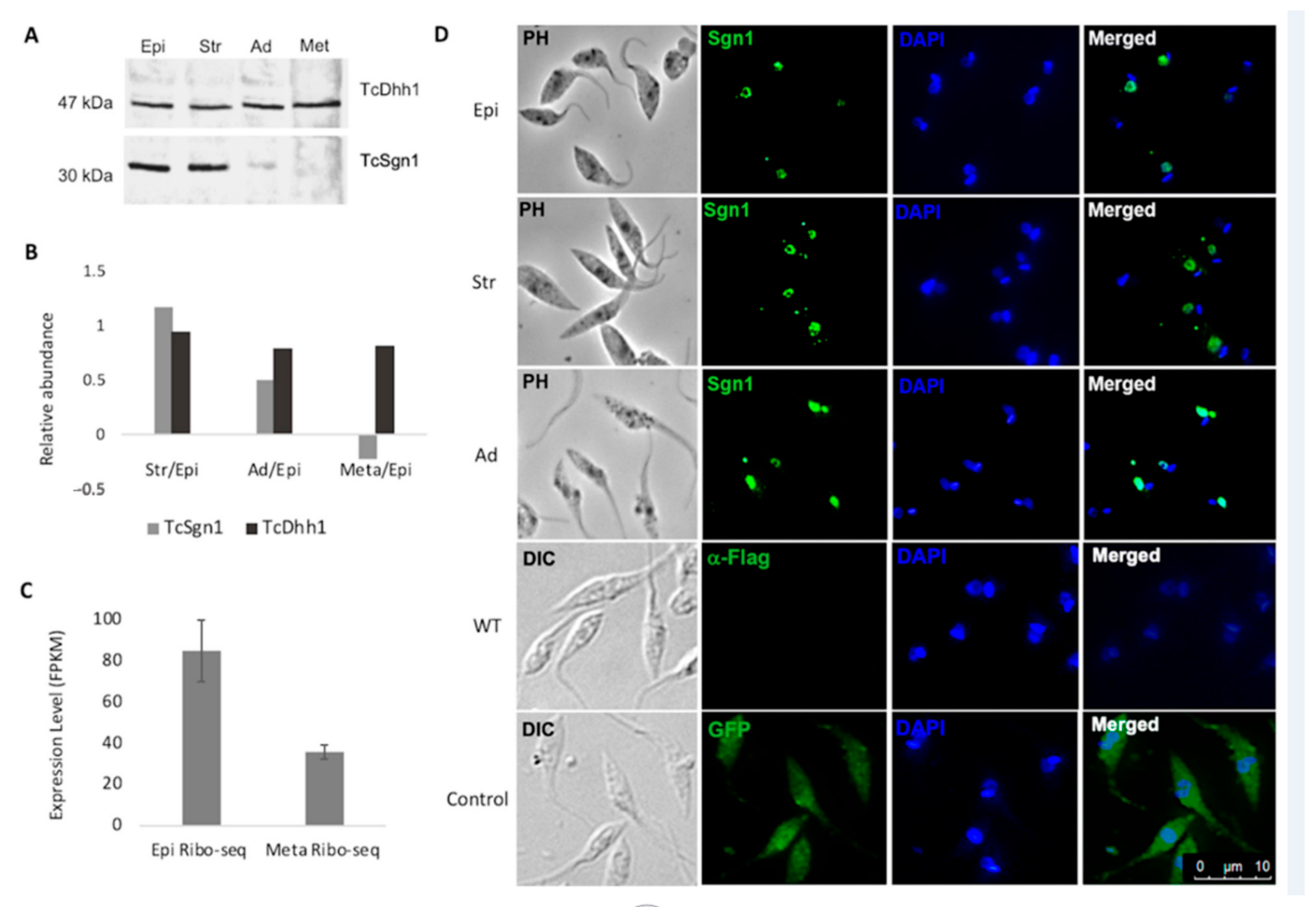 Microorganisms 09 00986 g002 Microorganisms 09 00986 g002