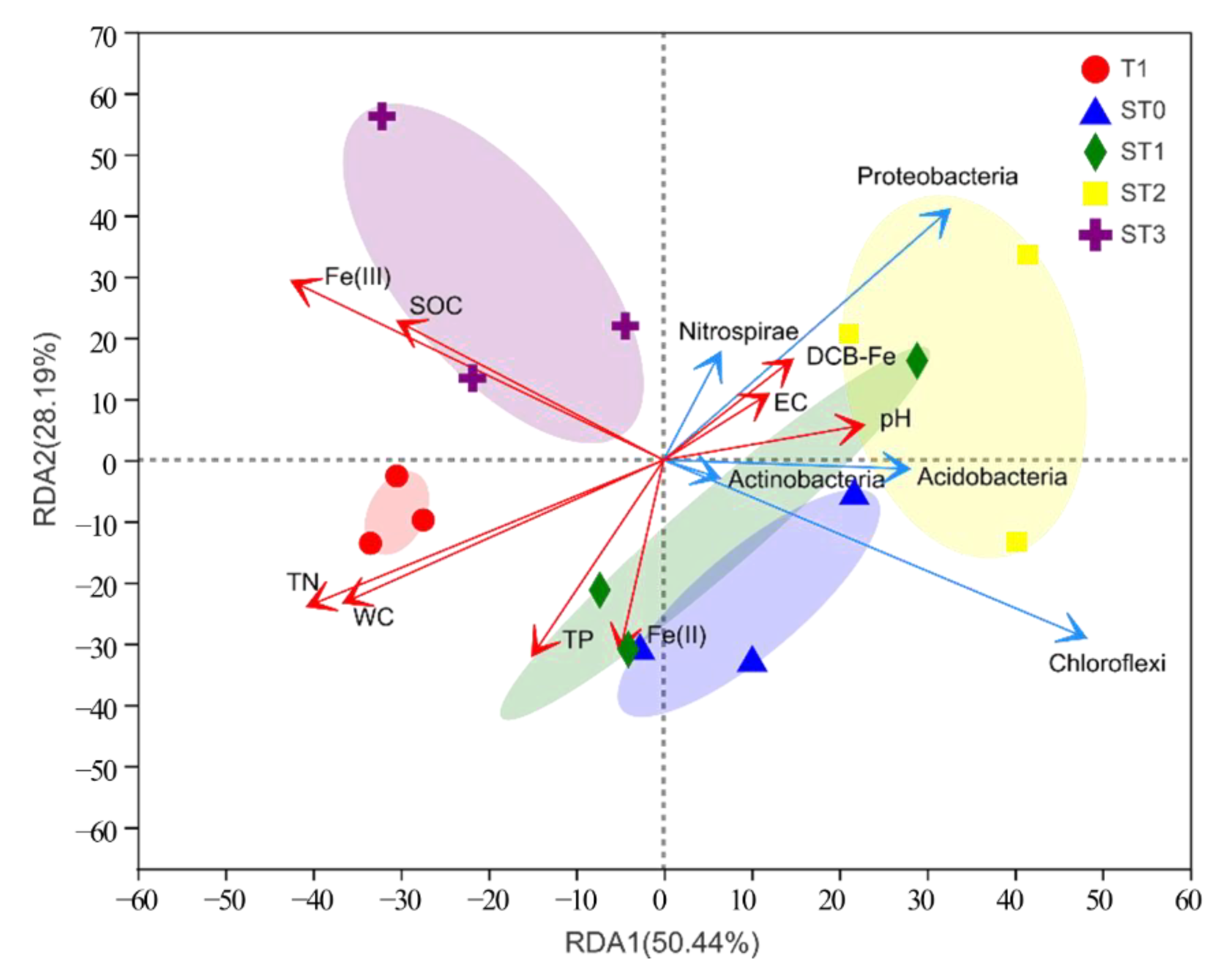 Microorganisms 09 00988 g003