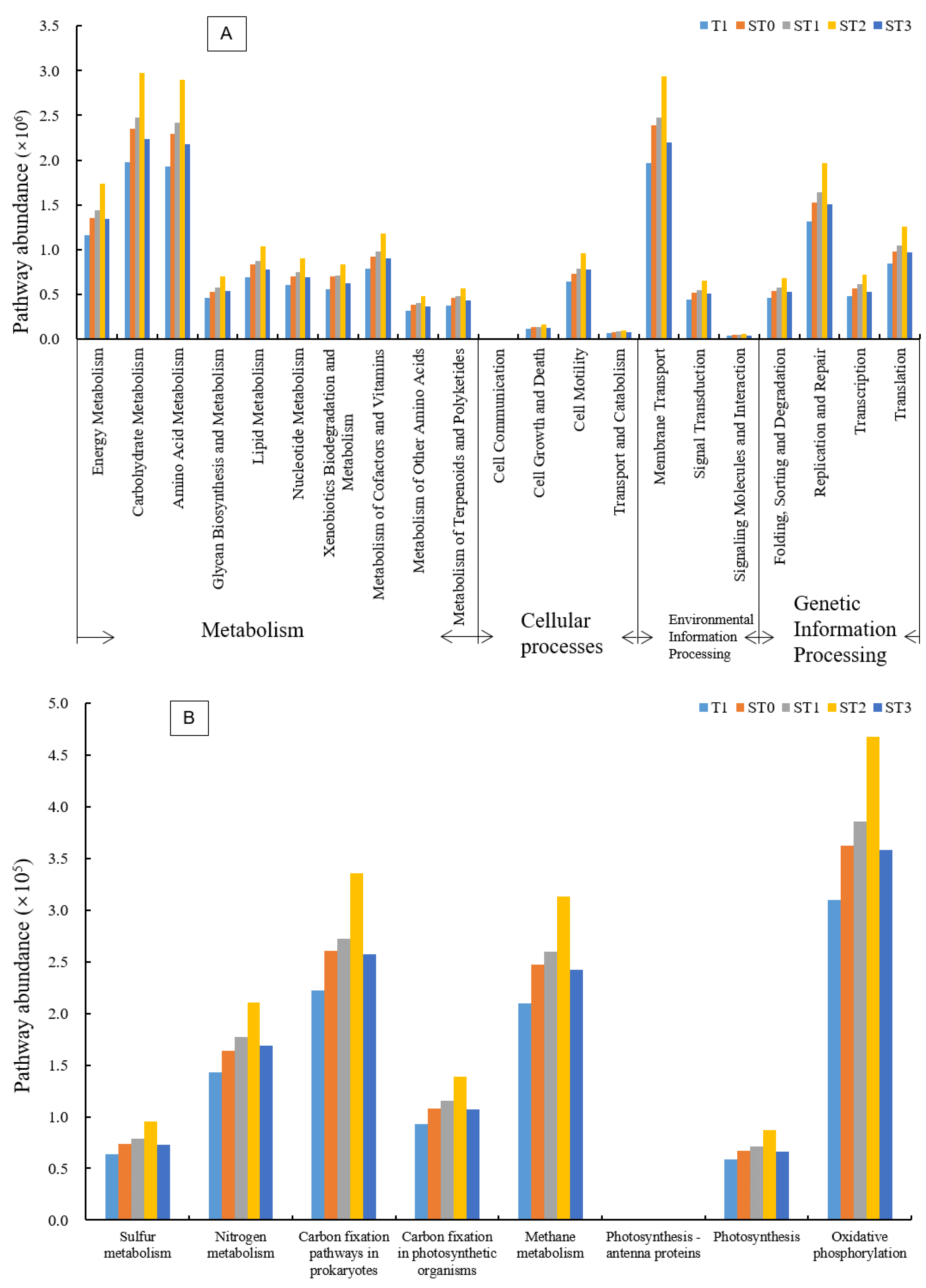 Microorganisms 09 00988 g004