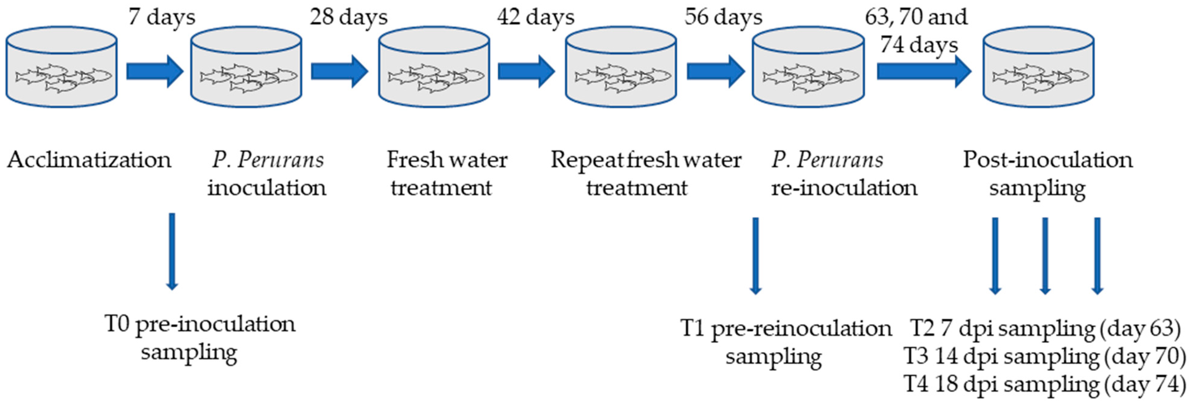 Microorganisms 09 00993 g001