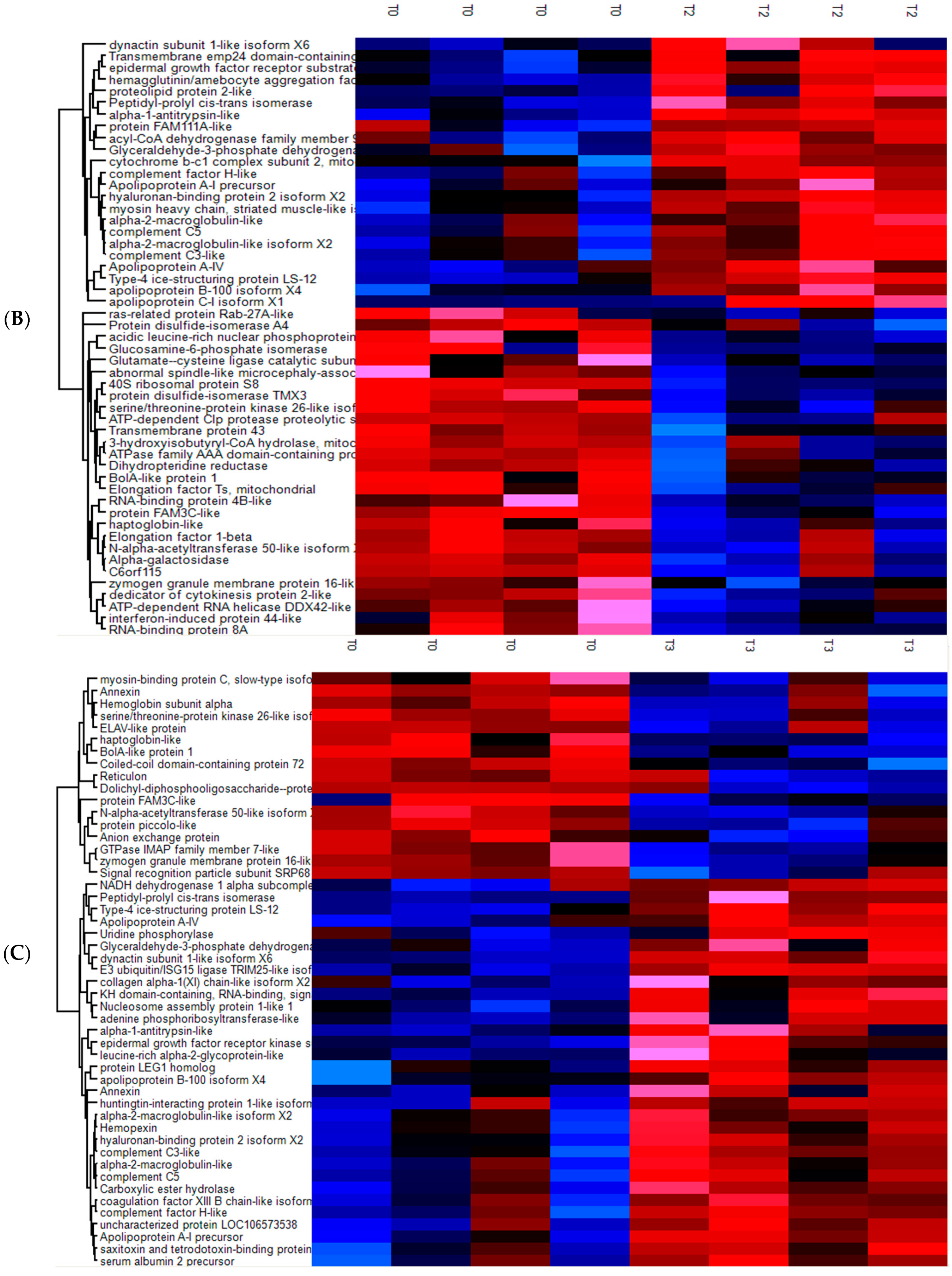 Microorganisms 09 00993 g003b