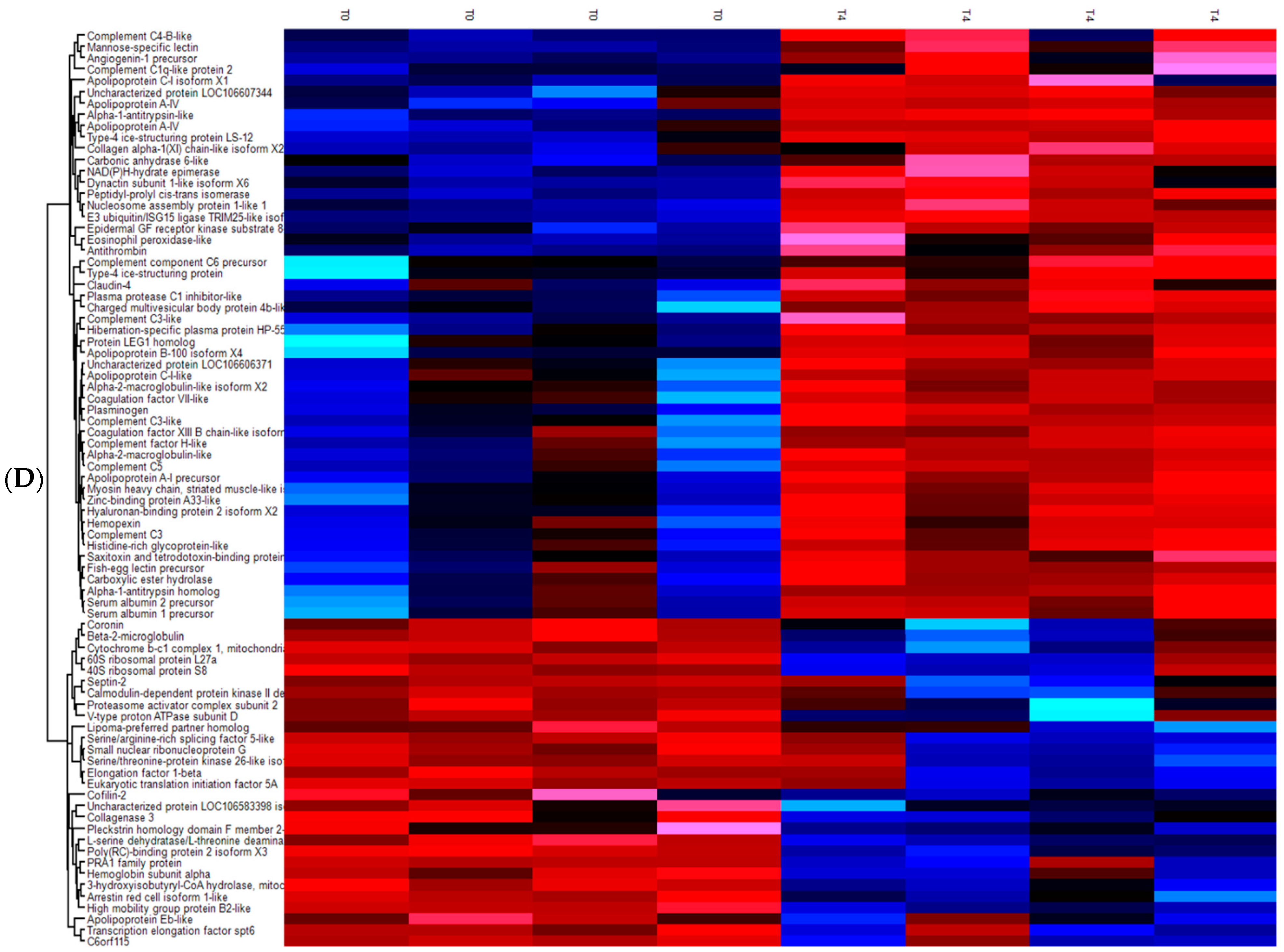 Microorganisms 09 00993 g003c