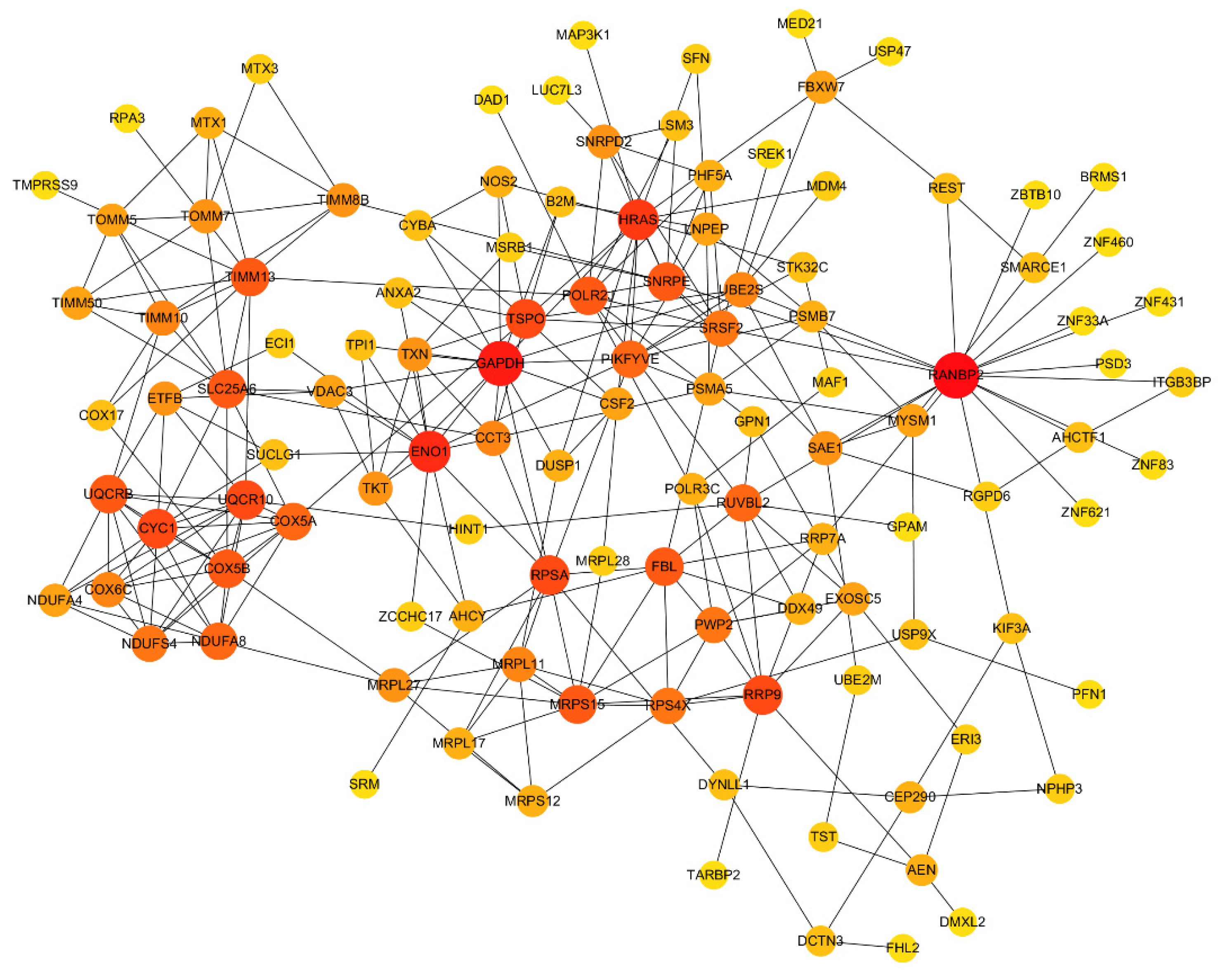 Microorganisms 09 00994 g005