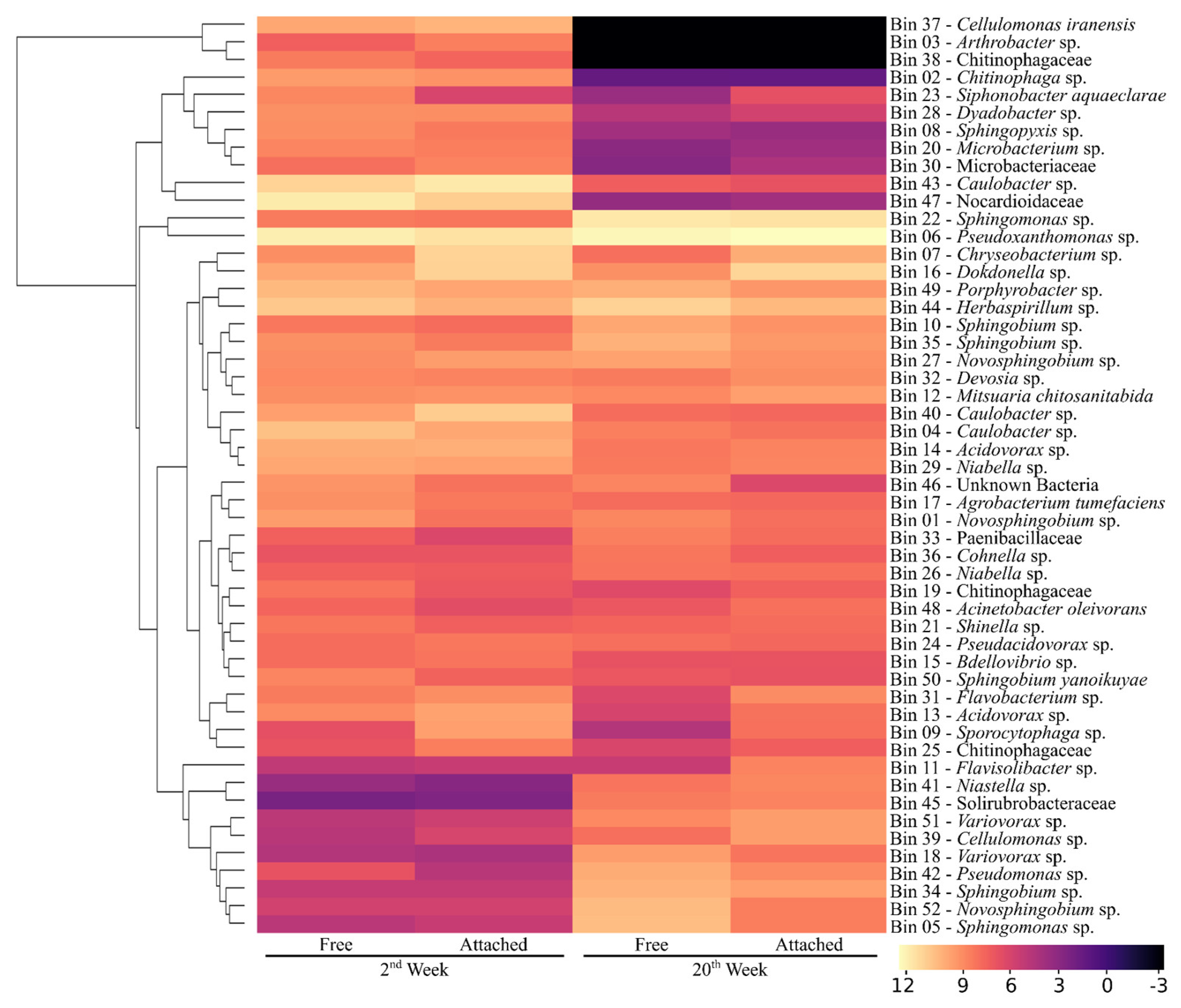 Microorganisms 09 00995 g005 Microorganisms 09 00995 g005