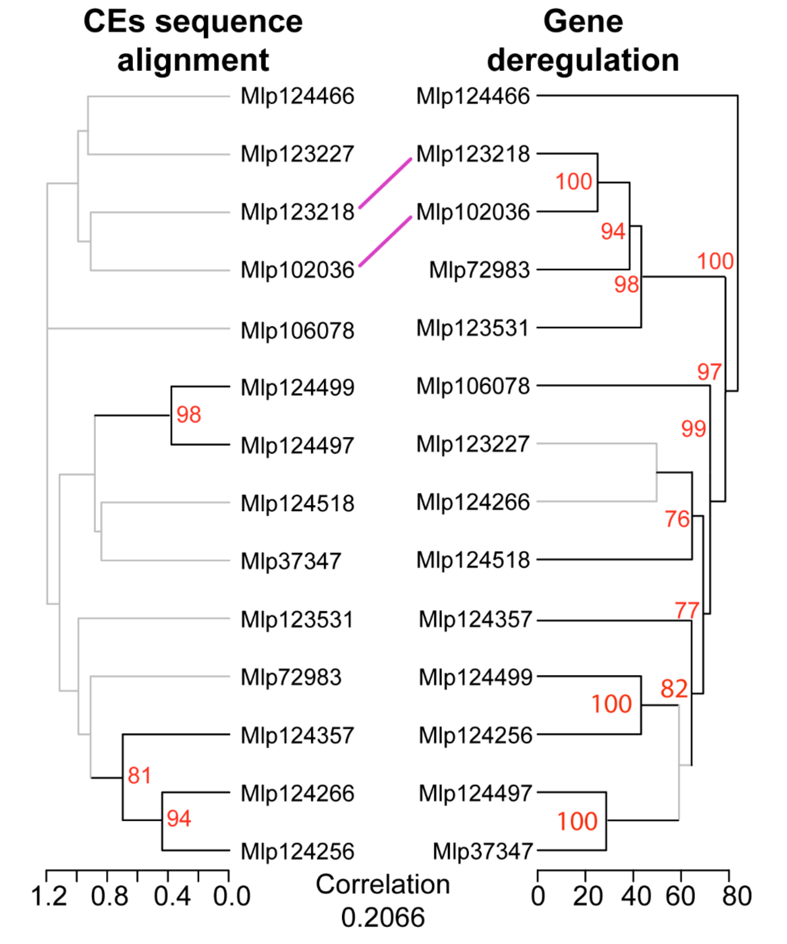 Microorganisms 09 00996 g003