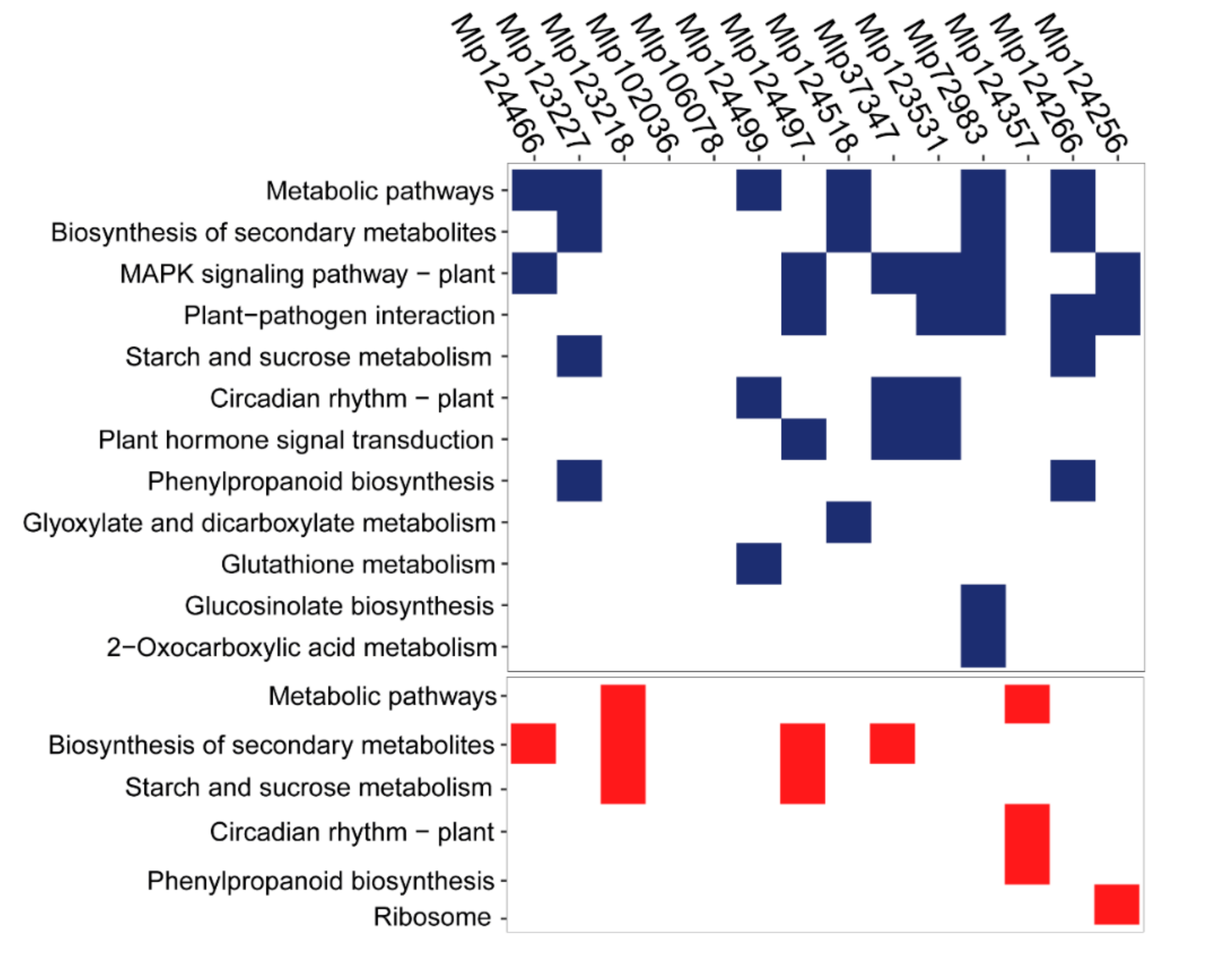 Microorganisms 09 00996 g004