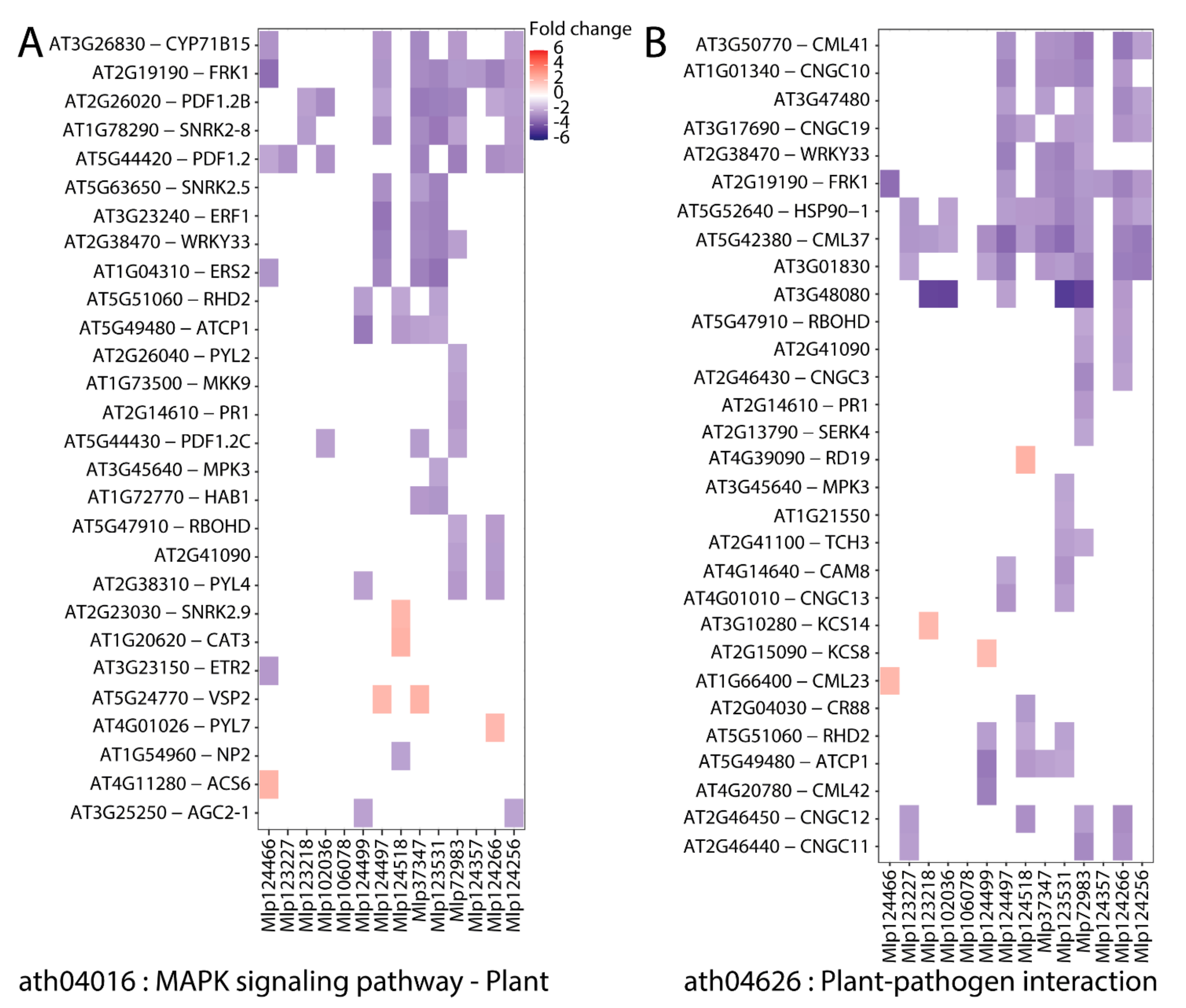 Microorganisms 09 00996 g005