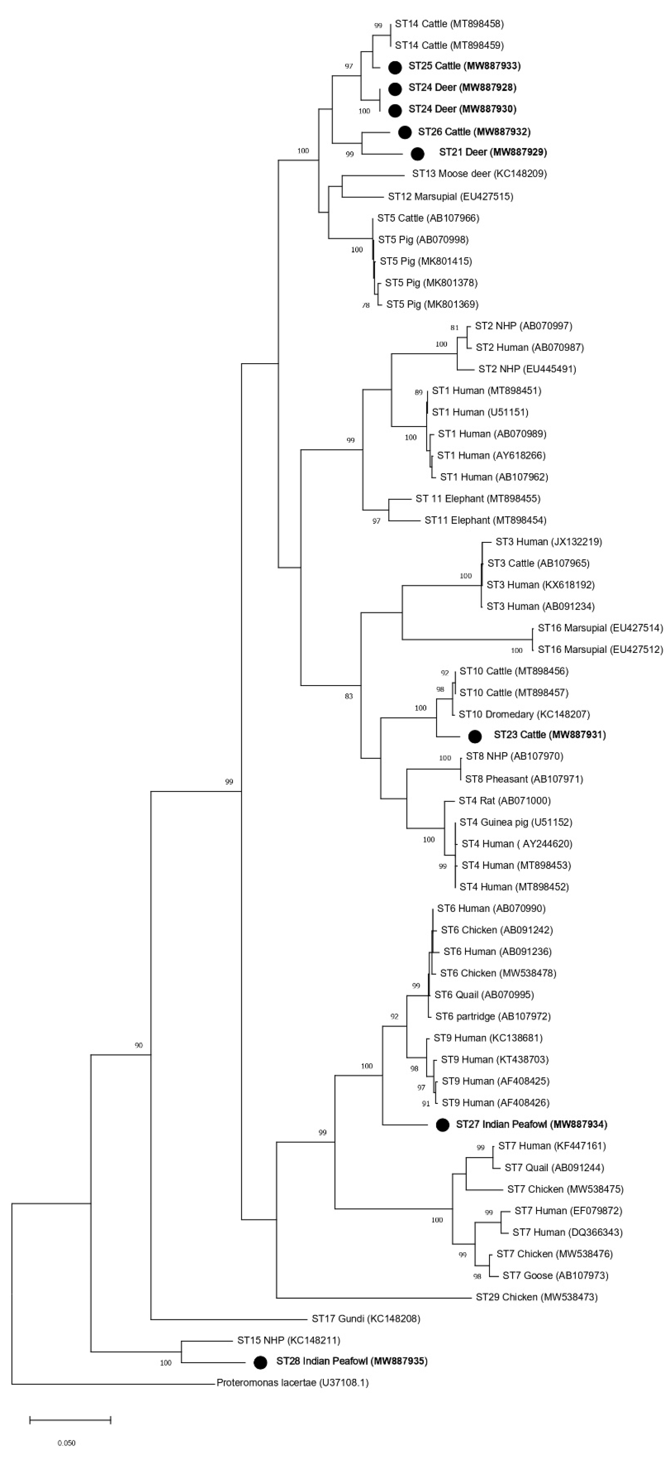 Microorganisms 09 00997 g002 Microorganisms 09 00997 g002