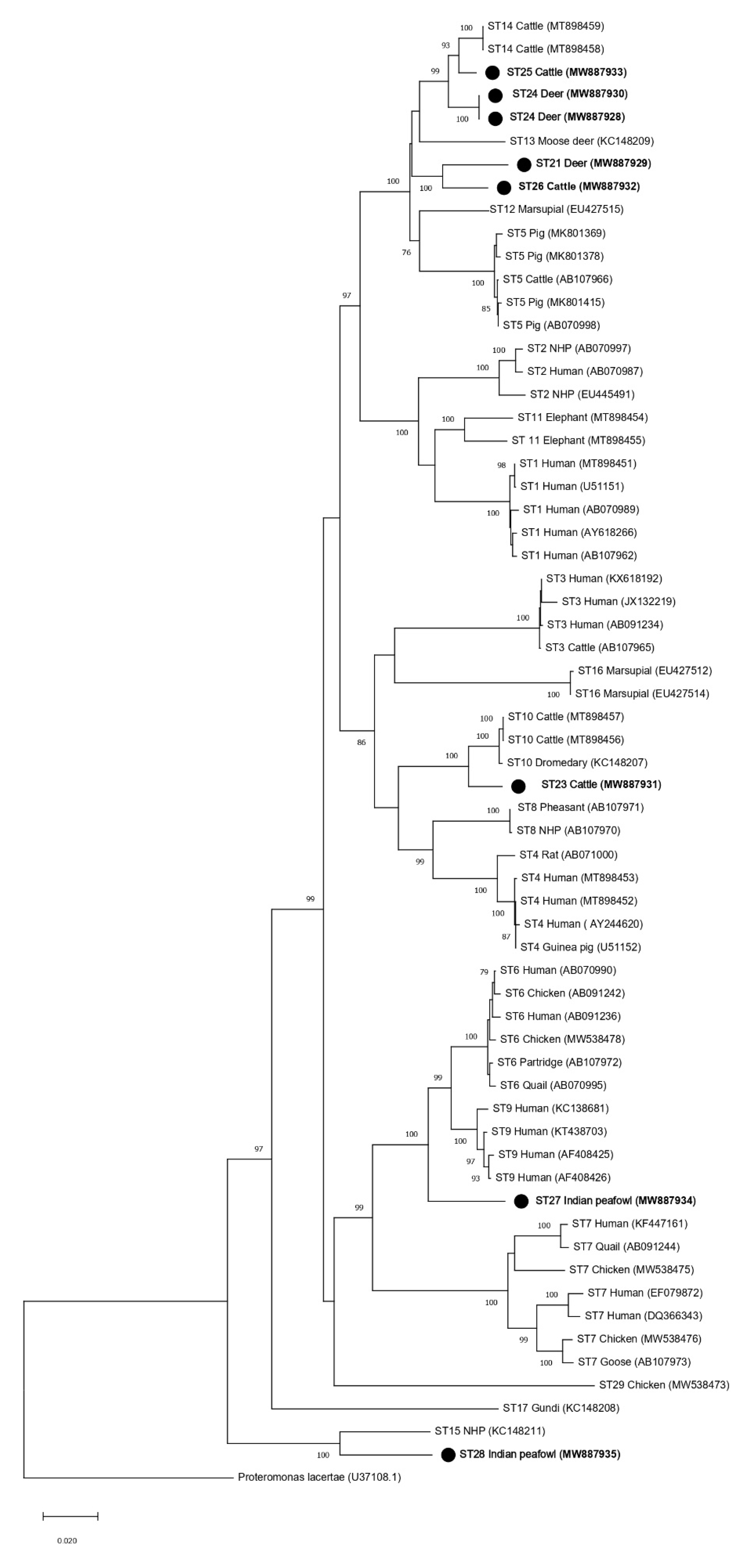 Microorganisms 09 00997 g003 Microorganisms 09 00997 g003