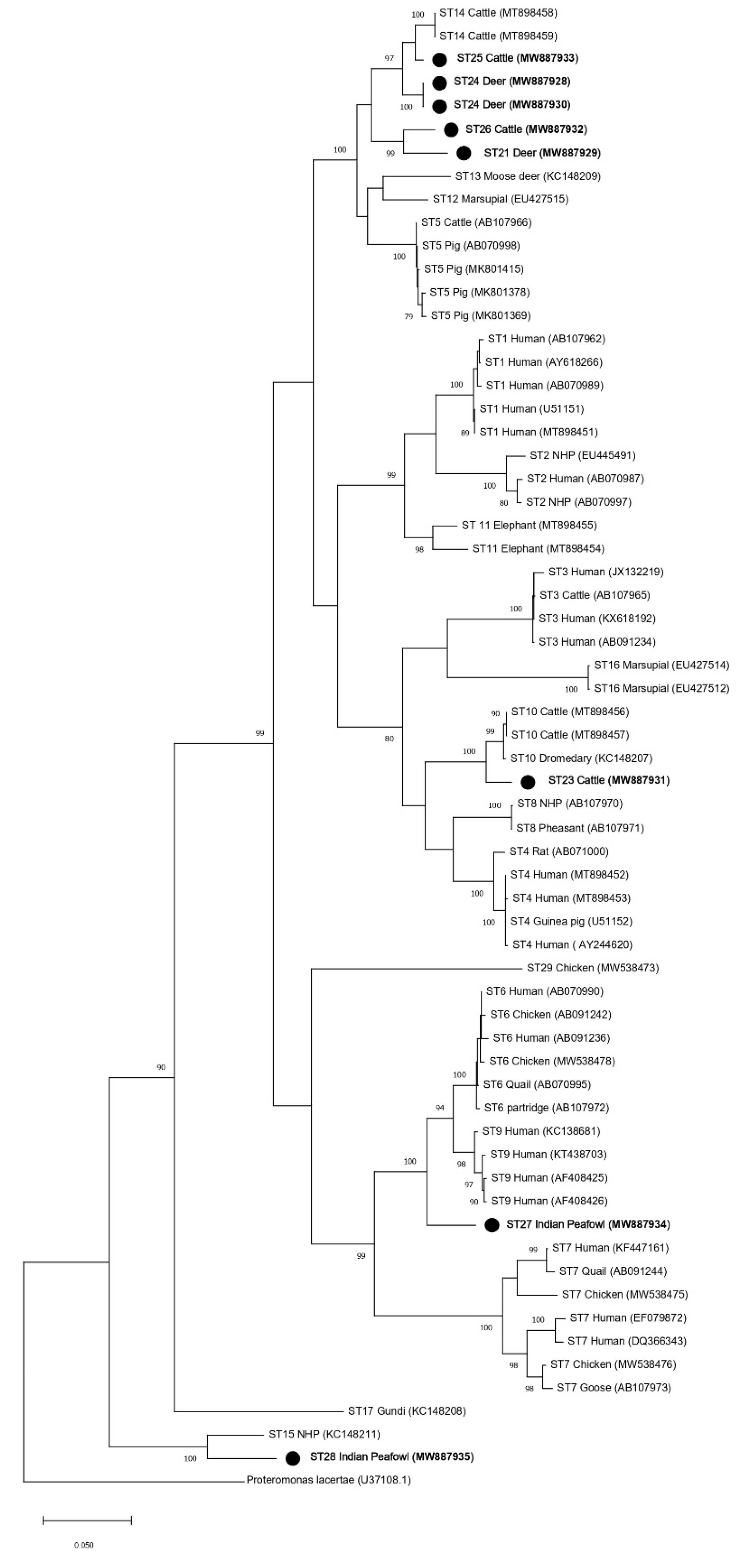 Microorganisms 09 00997 g006 Microorganisms 09 00997 g006