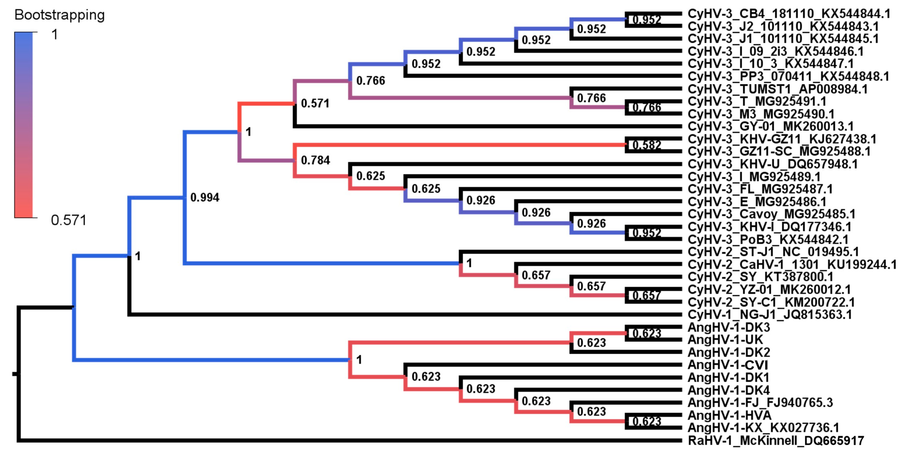 Microorganisms 09 00998 g003