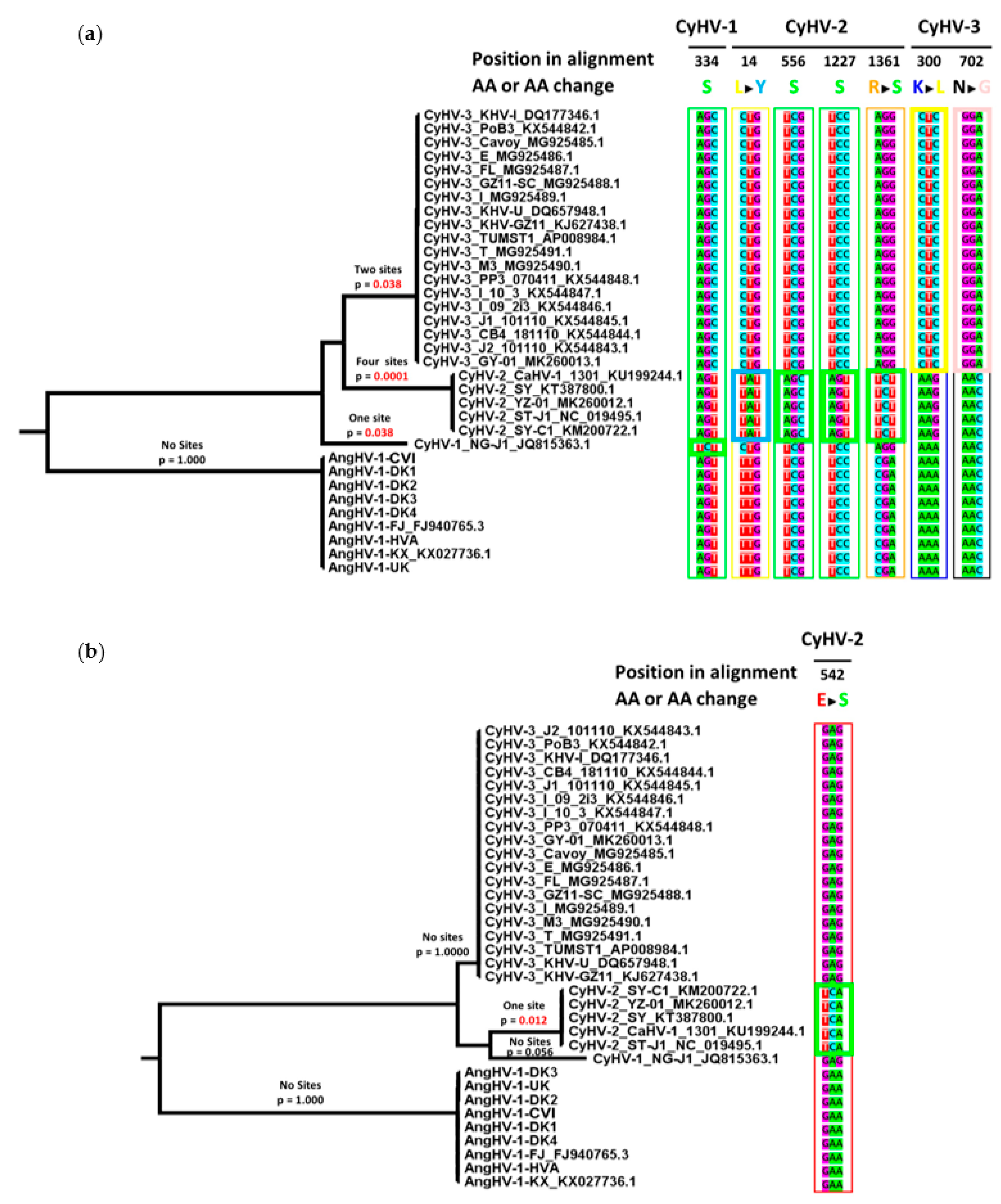 Microorganisms 09 00998 g005