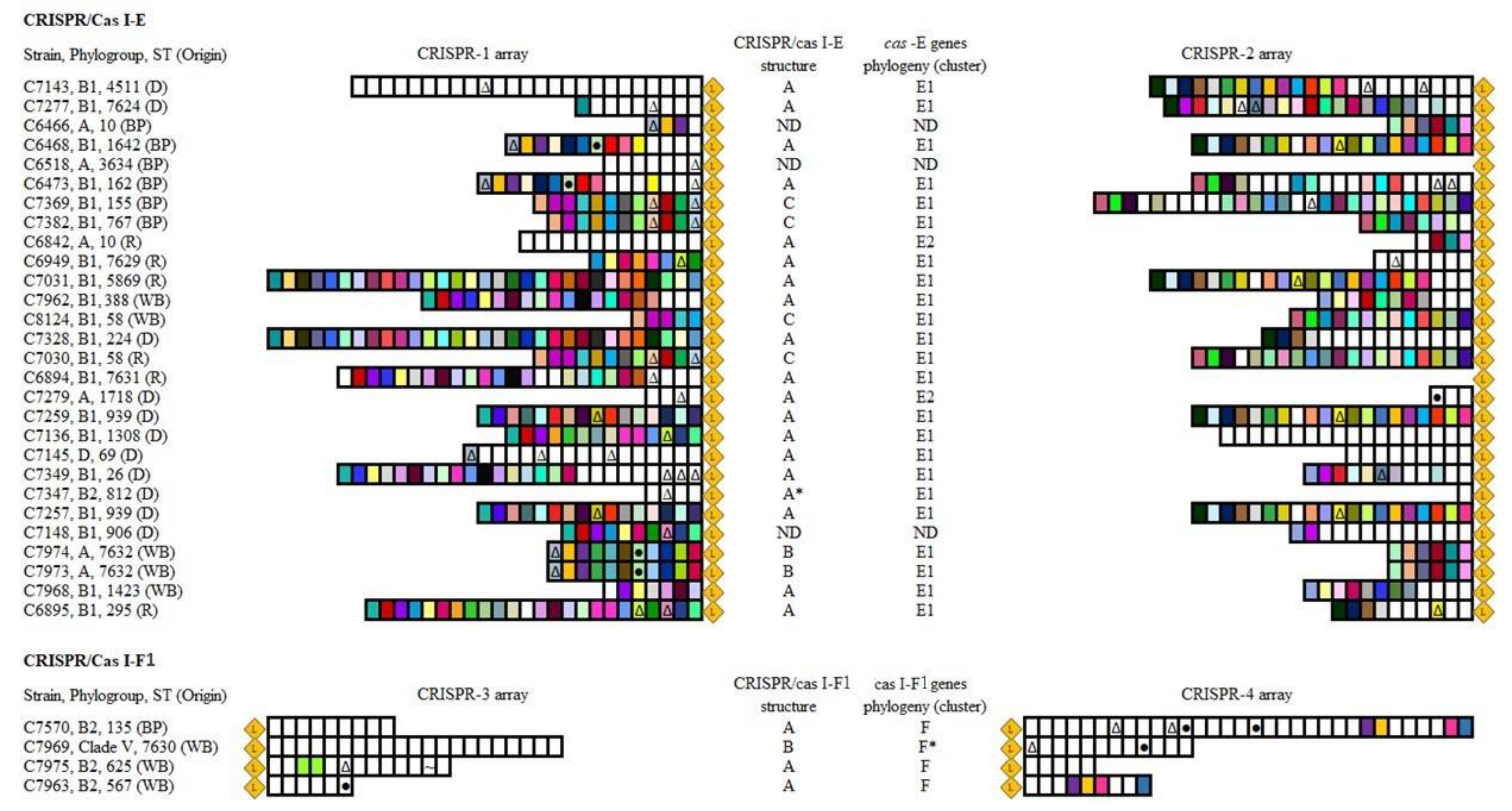 Microorganisms 09 00999 g001