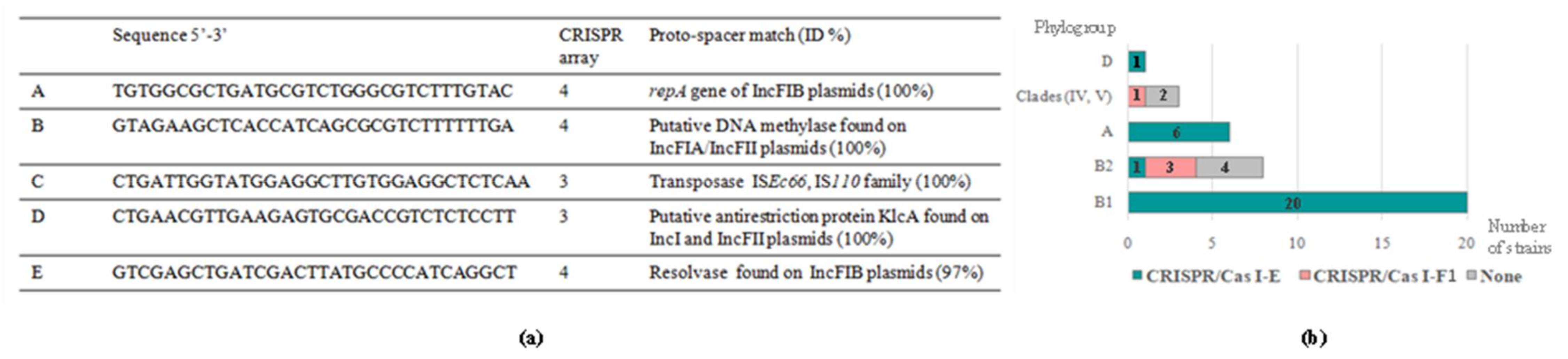 Microorganisms 09 00999 g002