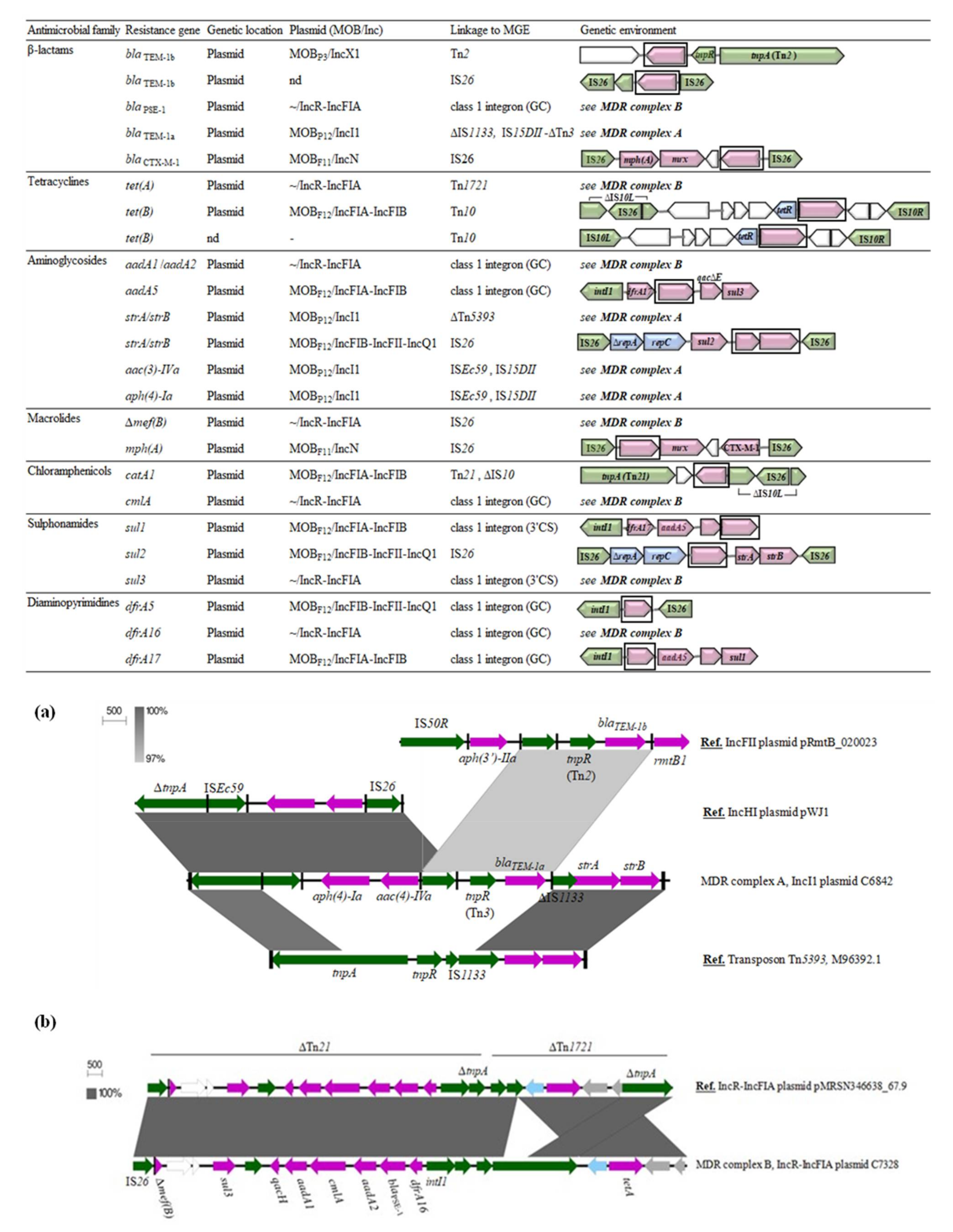 Microorganisms 09 00999 g003