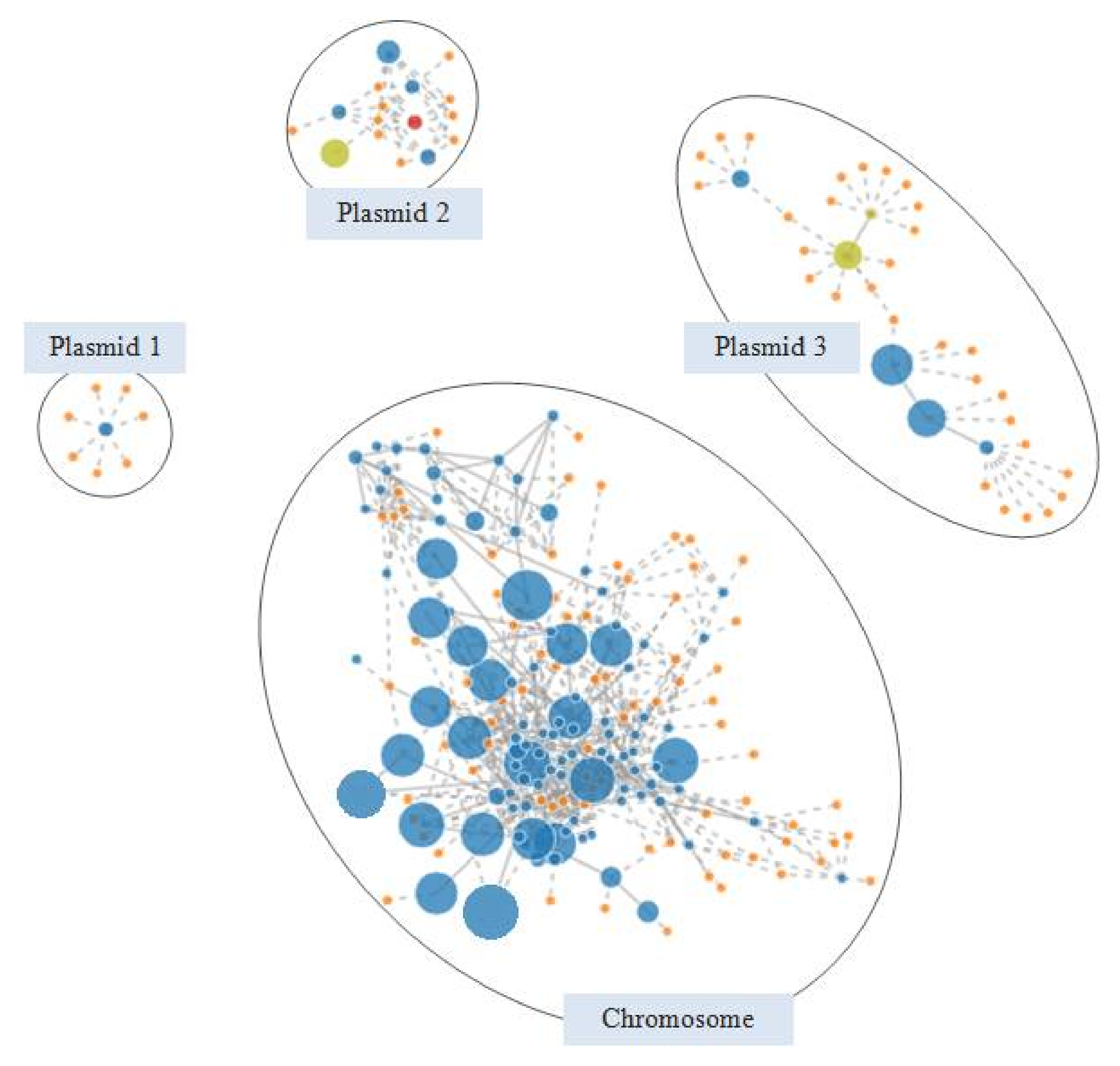 Microorganisms 09 00999 g004