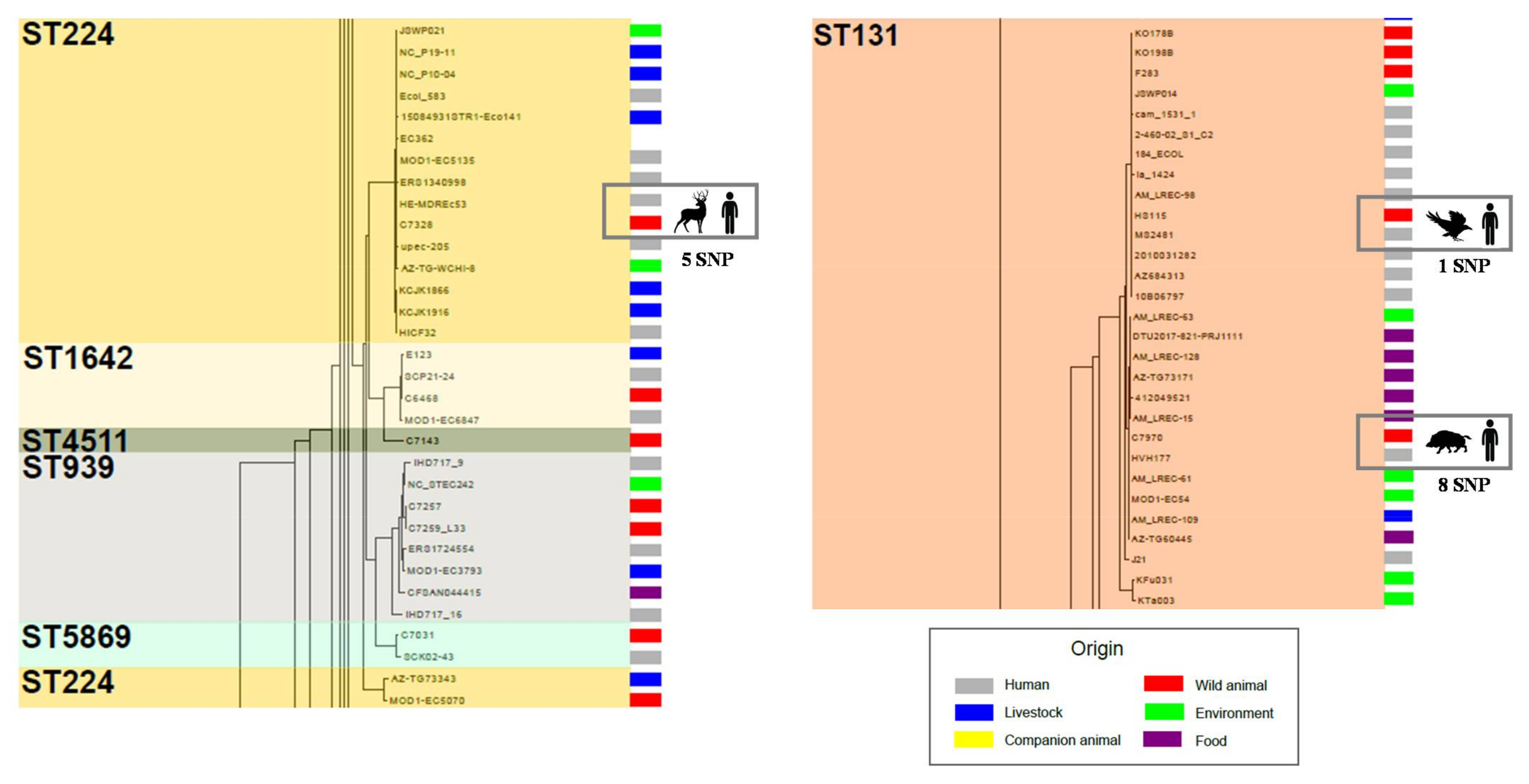 Microorganisms 09 00999 g007