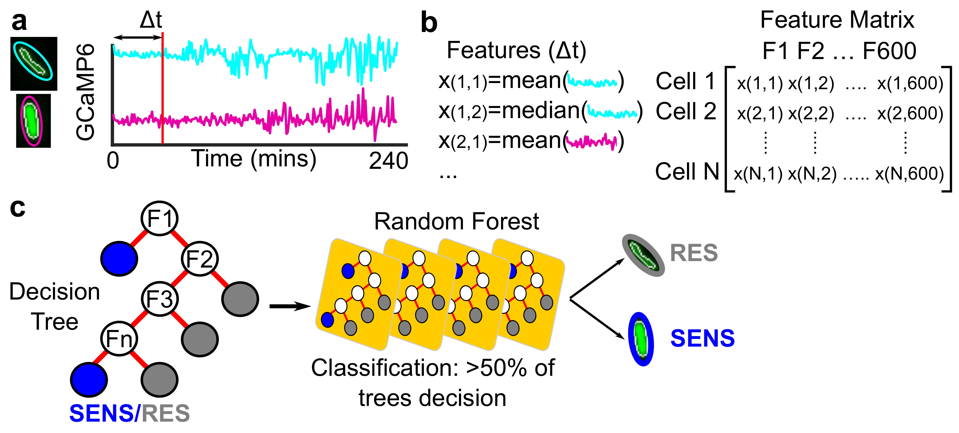 Microorganisms 09 01000 g002