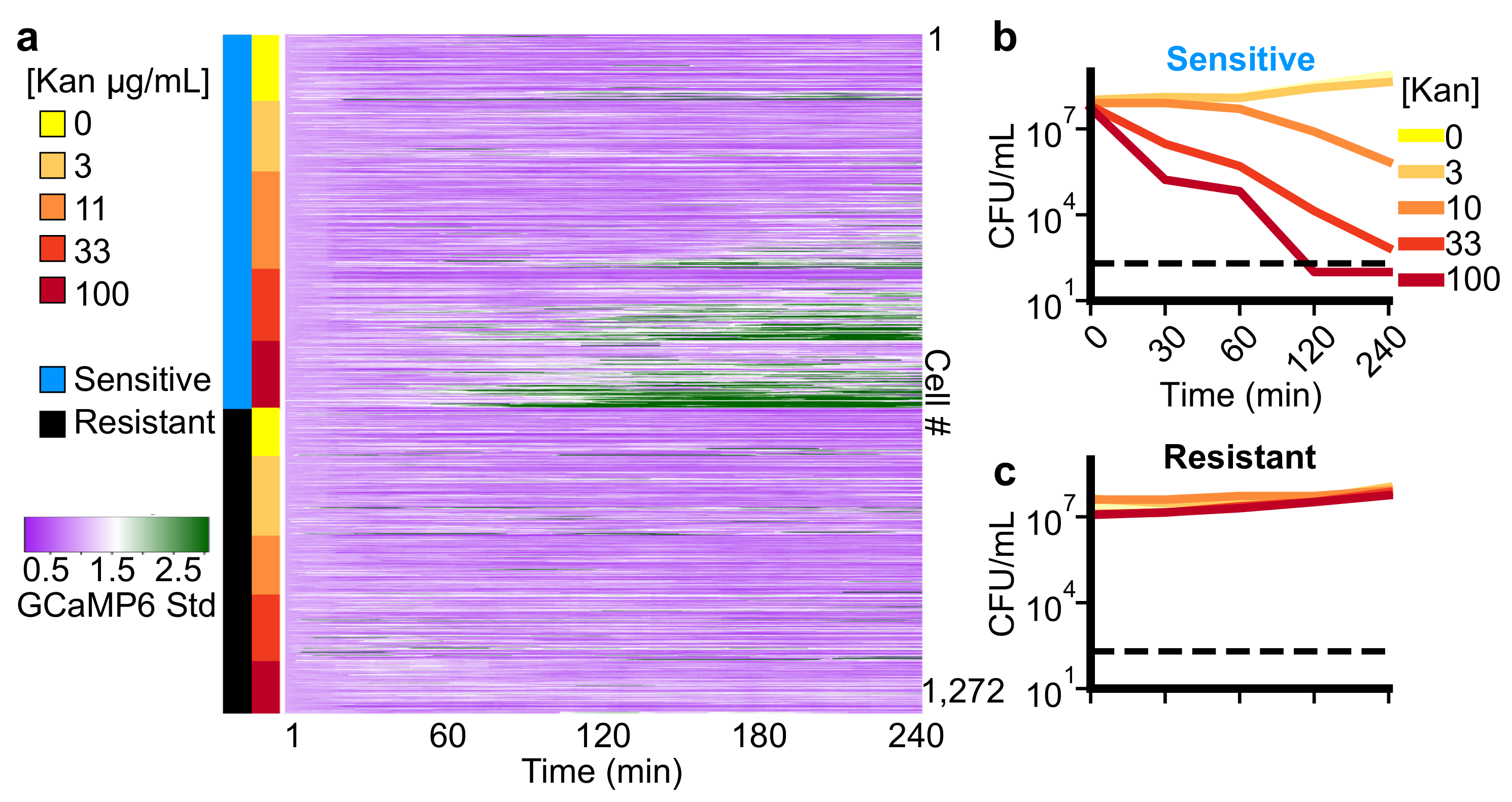 Microorganisms 09 01000 g003