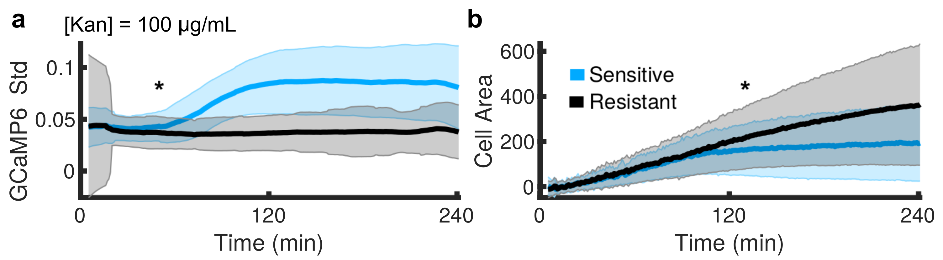 Microorganisms 09 01000 g004