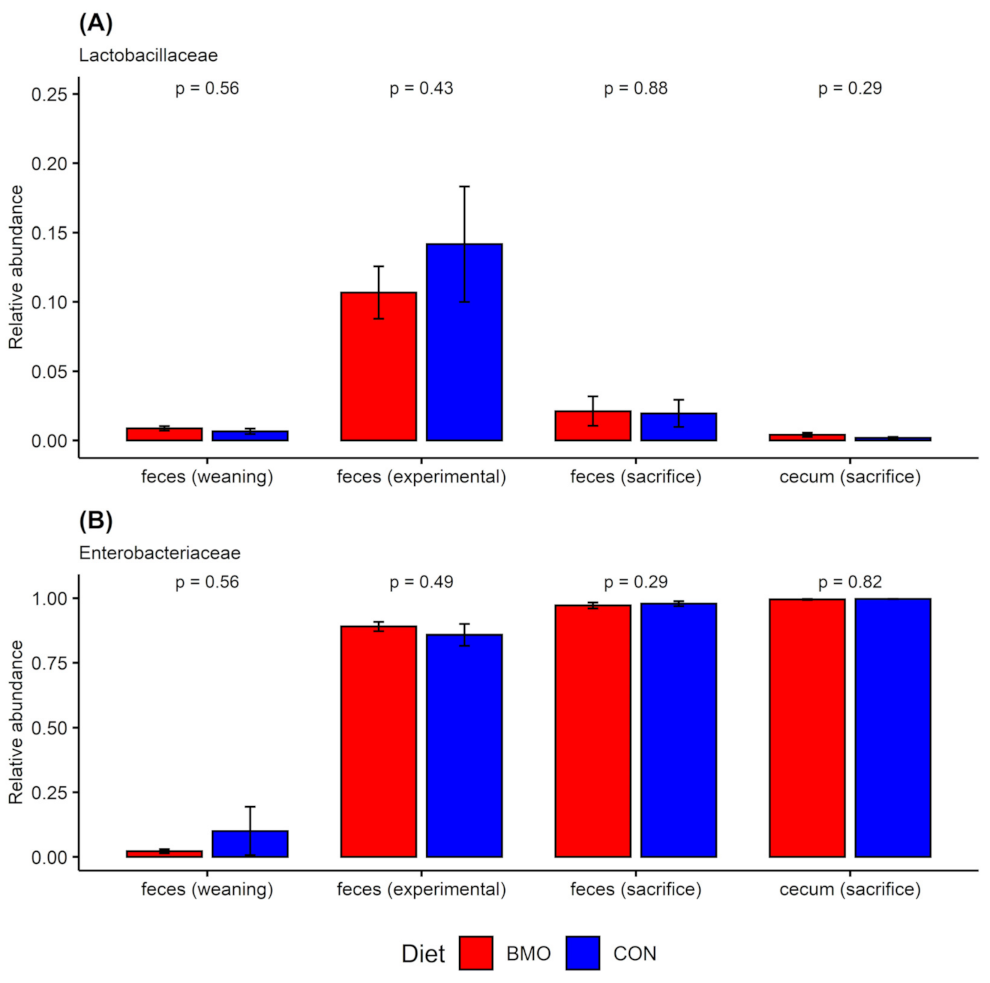 Microorganisms 09 01003 g006 Microorganisms 09 01003 g006