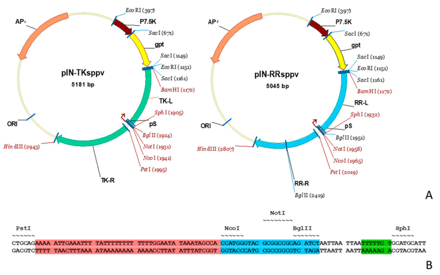 Microorganisms 09 01005 g001 Microorganisms 09 01005 g001