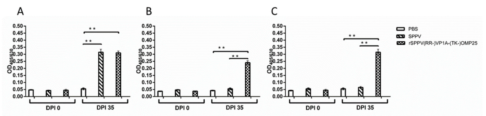 Microorganisms 09 01005 g008 Microorganisms 09 01005 g008