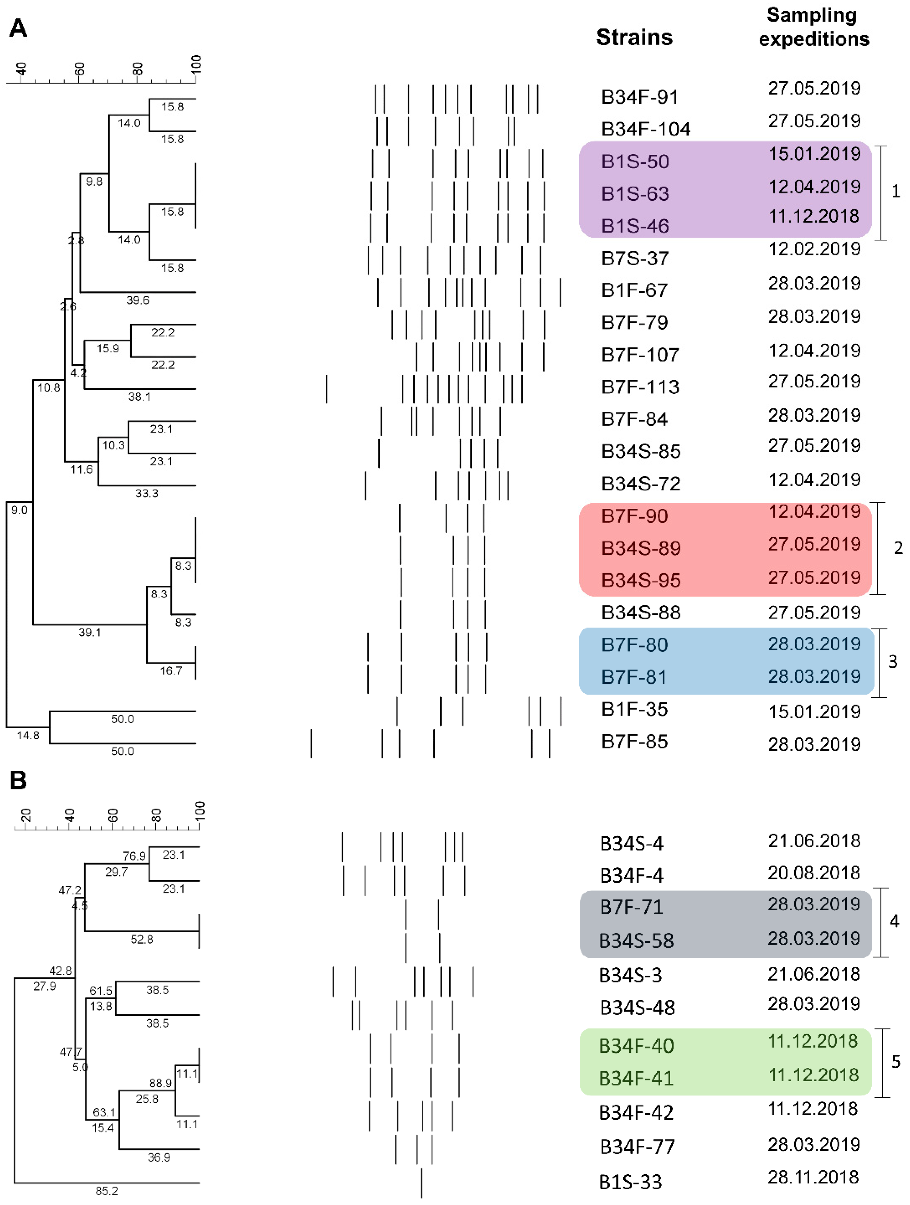 Microorganisms 09 01007 g004 Microorganisms 09 01007 g004
