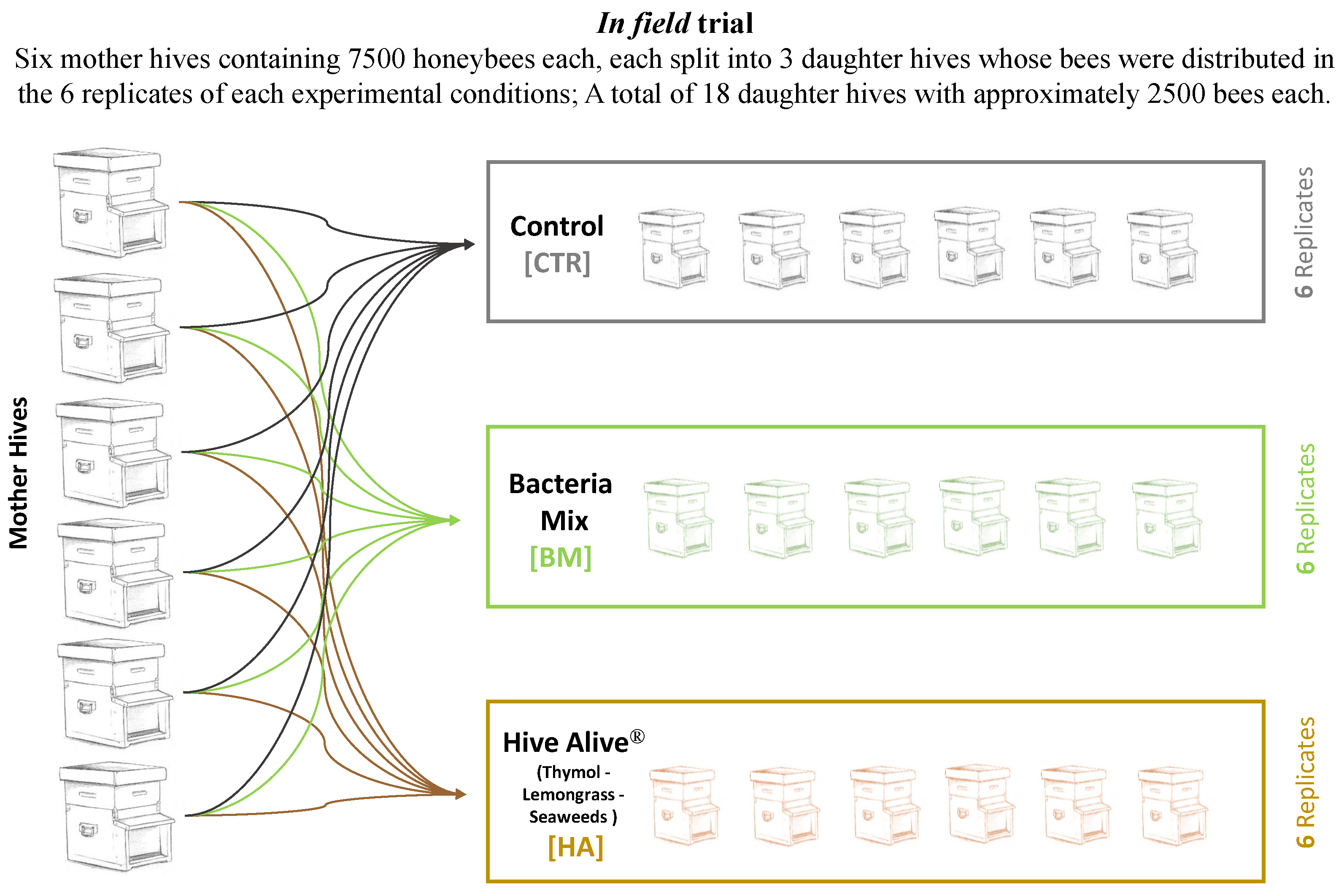 Microorganisms 09 01009 g001