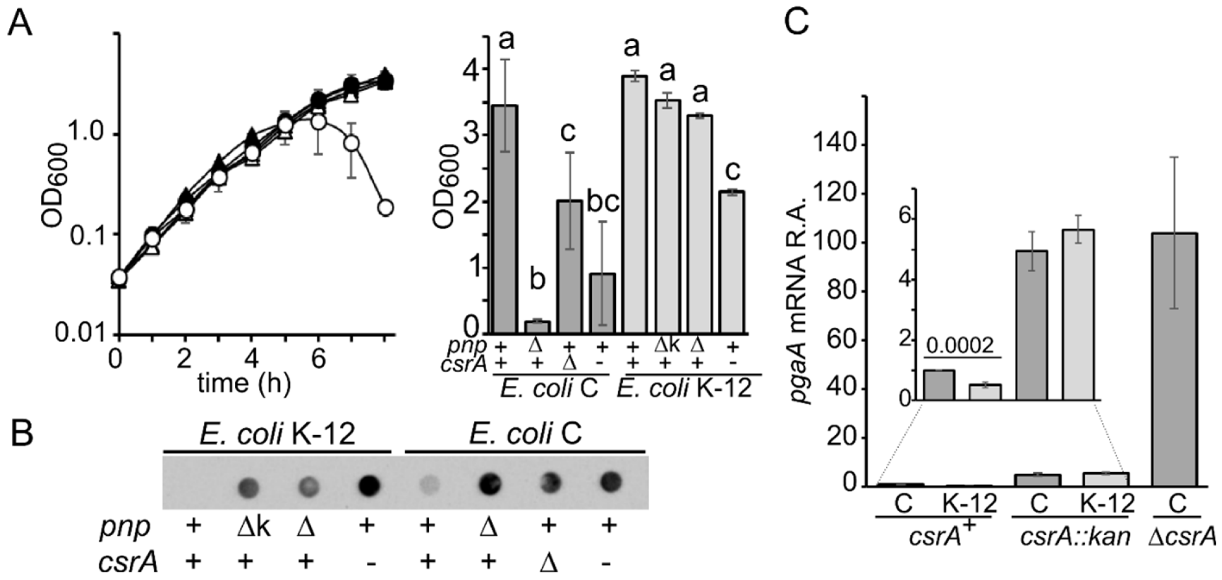 Microorganisms 09 01010 g002 Microorganisms 09 01010 g002