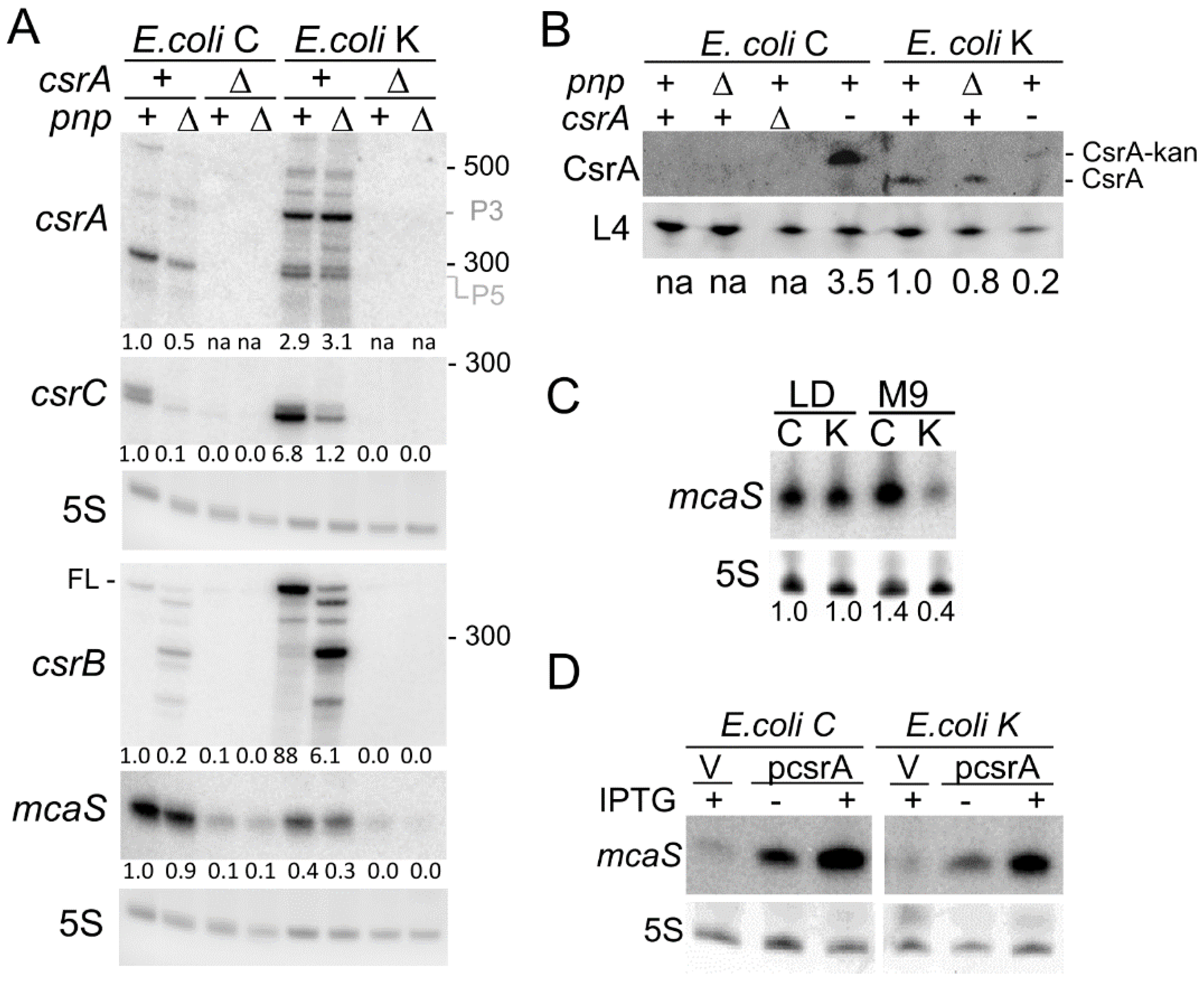 Microorganisms 09 01010 g004 Microorganisms 09 01010 g004